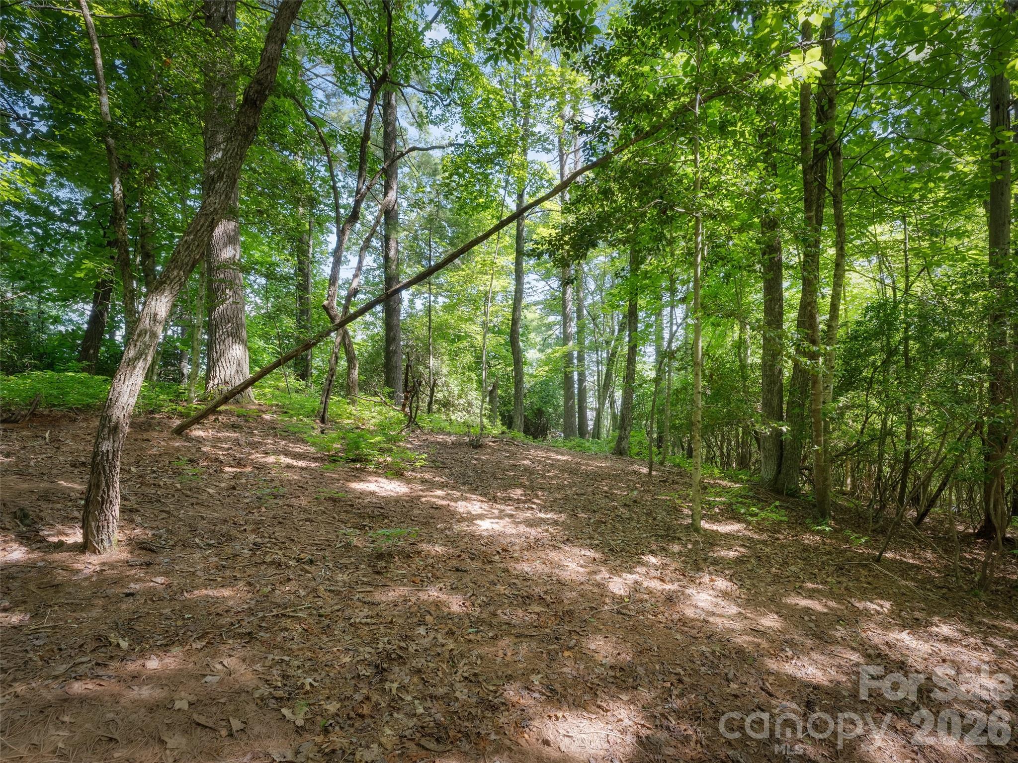 Lot 161 Eagle Lake Drive Property Photo 3