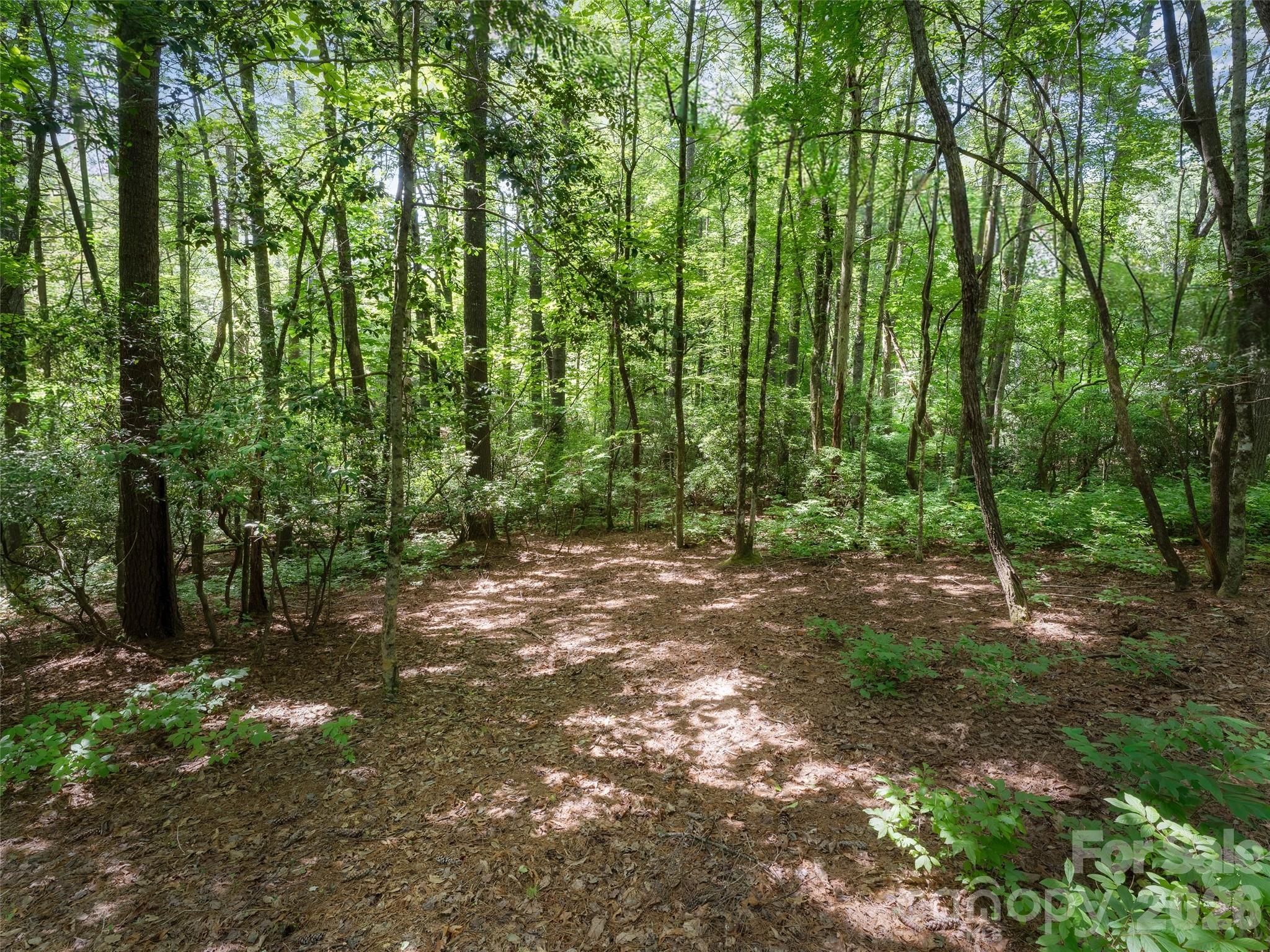 Lot 161 Eagle Lake Drive Property Photo 4