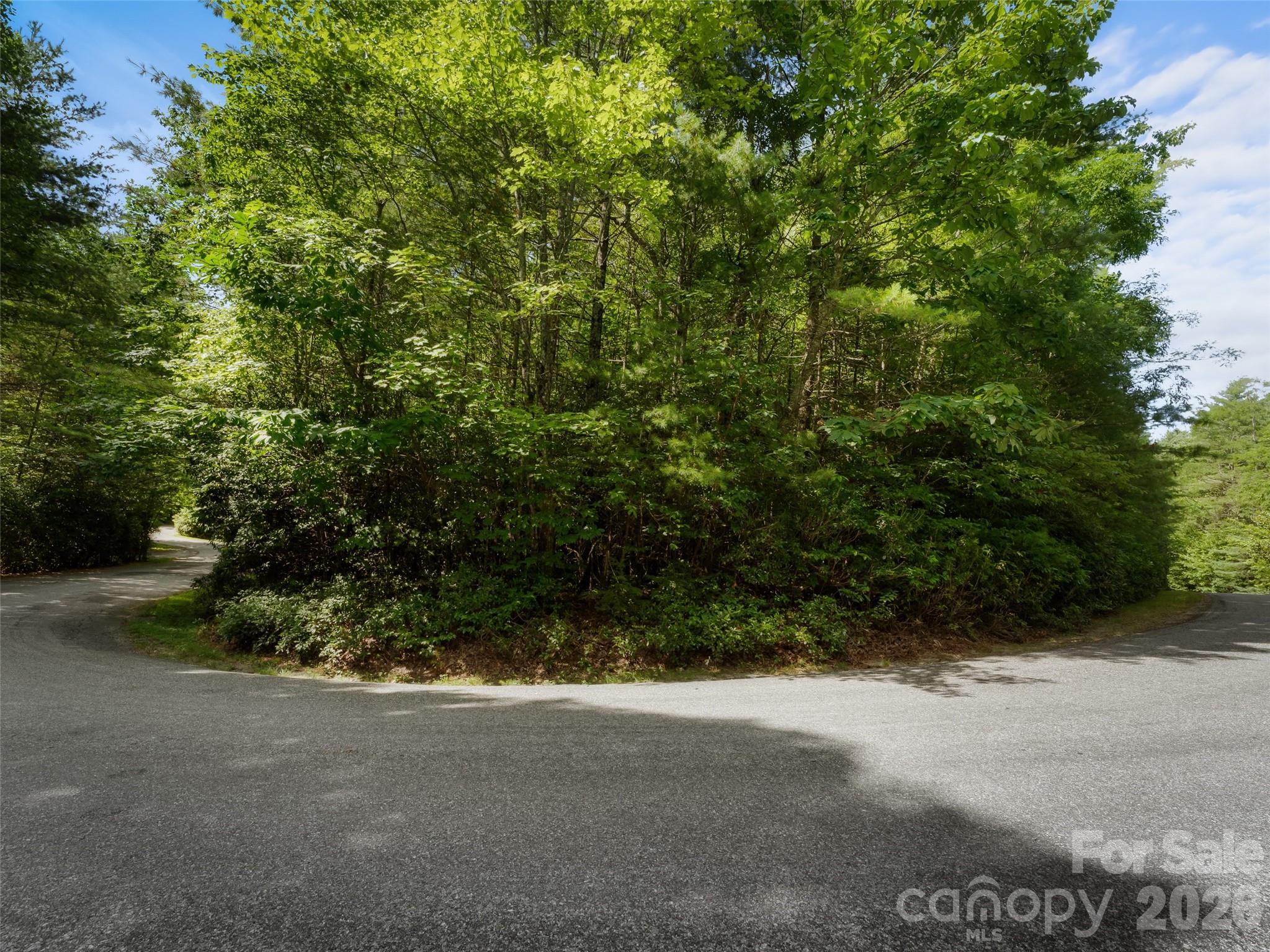 Lot 161 Eagle Lake Drive Property Photo 5