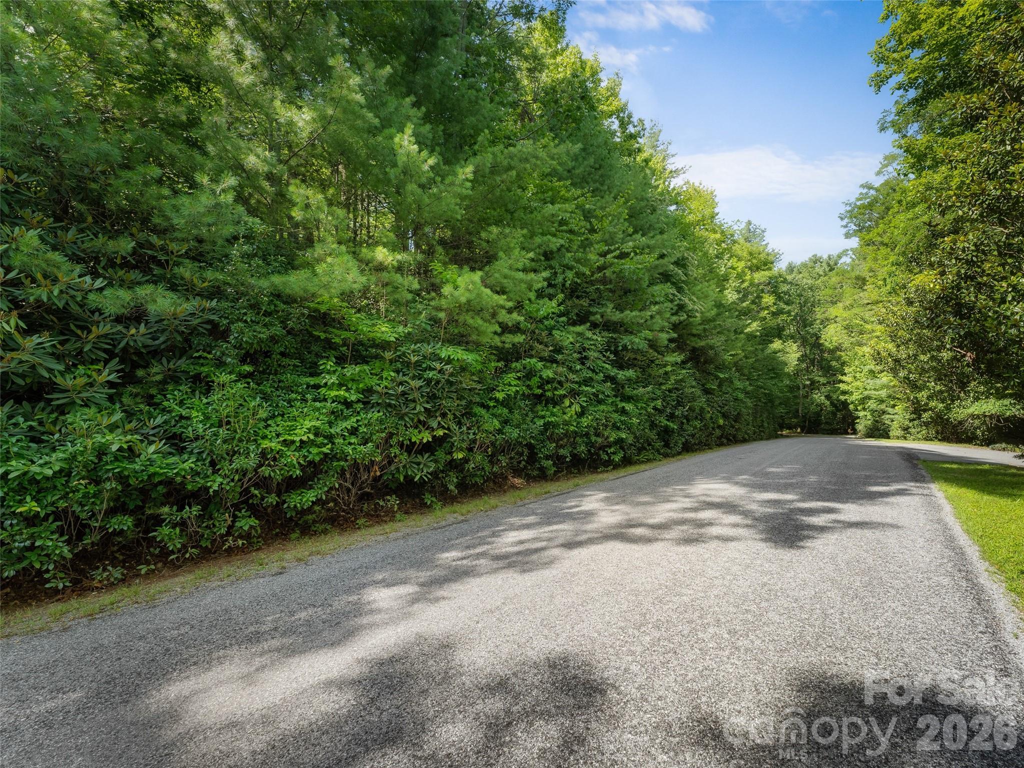 Lot 161 Eagle Lake Drive Property Photo 6