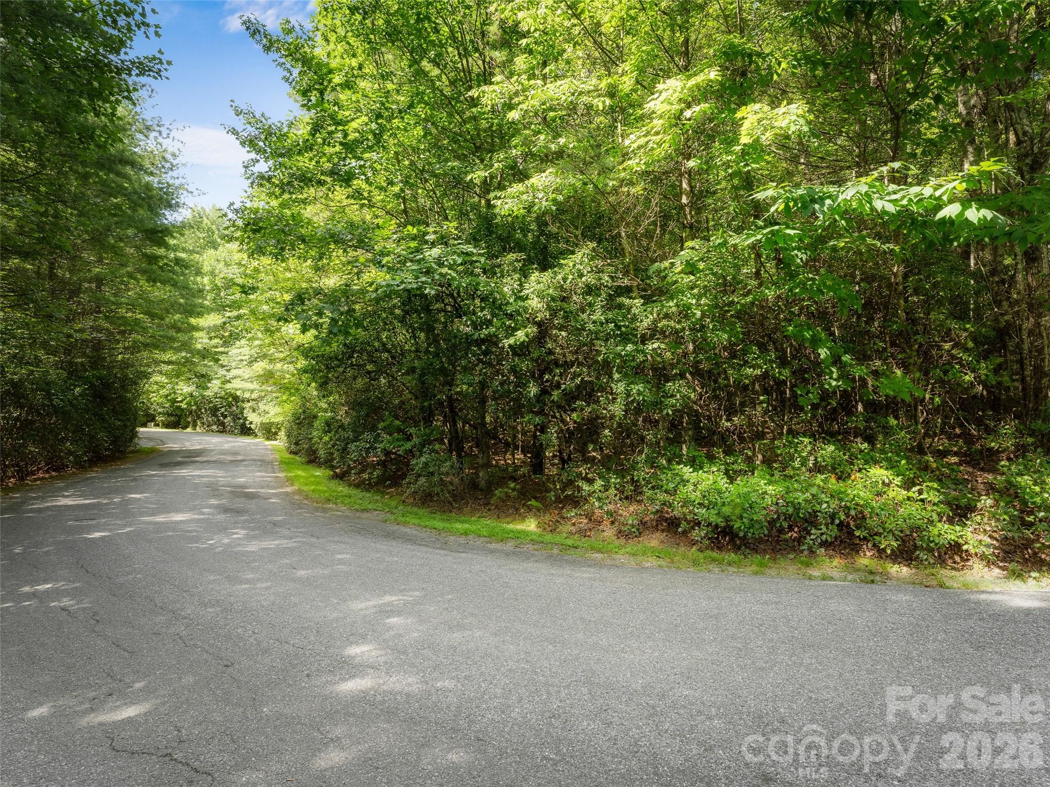 Lot 161 Eagle Lake Drive Property Photo 7