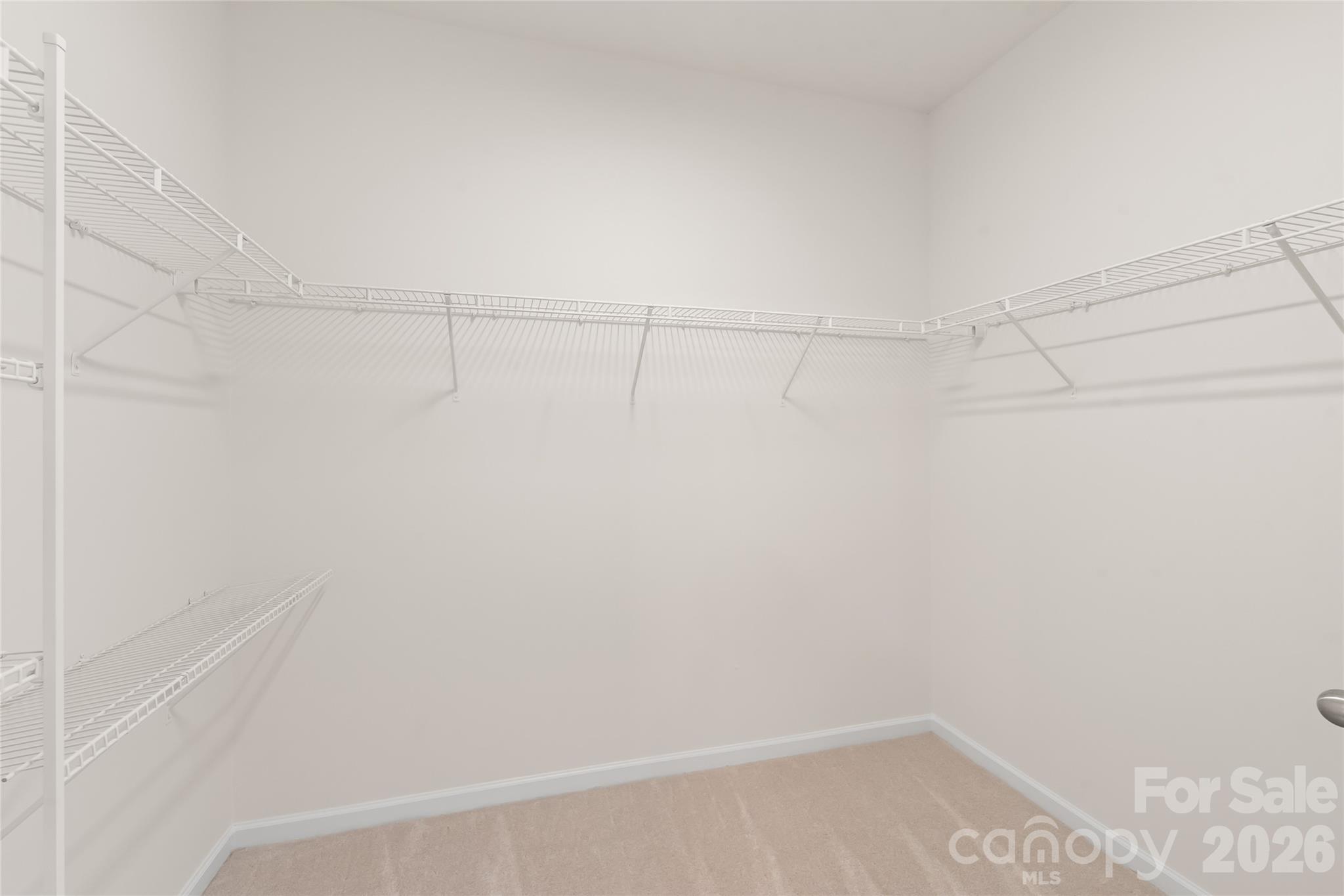 8411 Romana Red Lane Property Photo 13