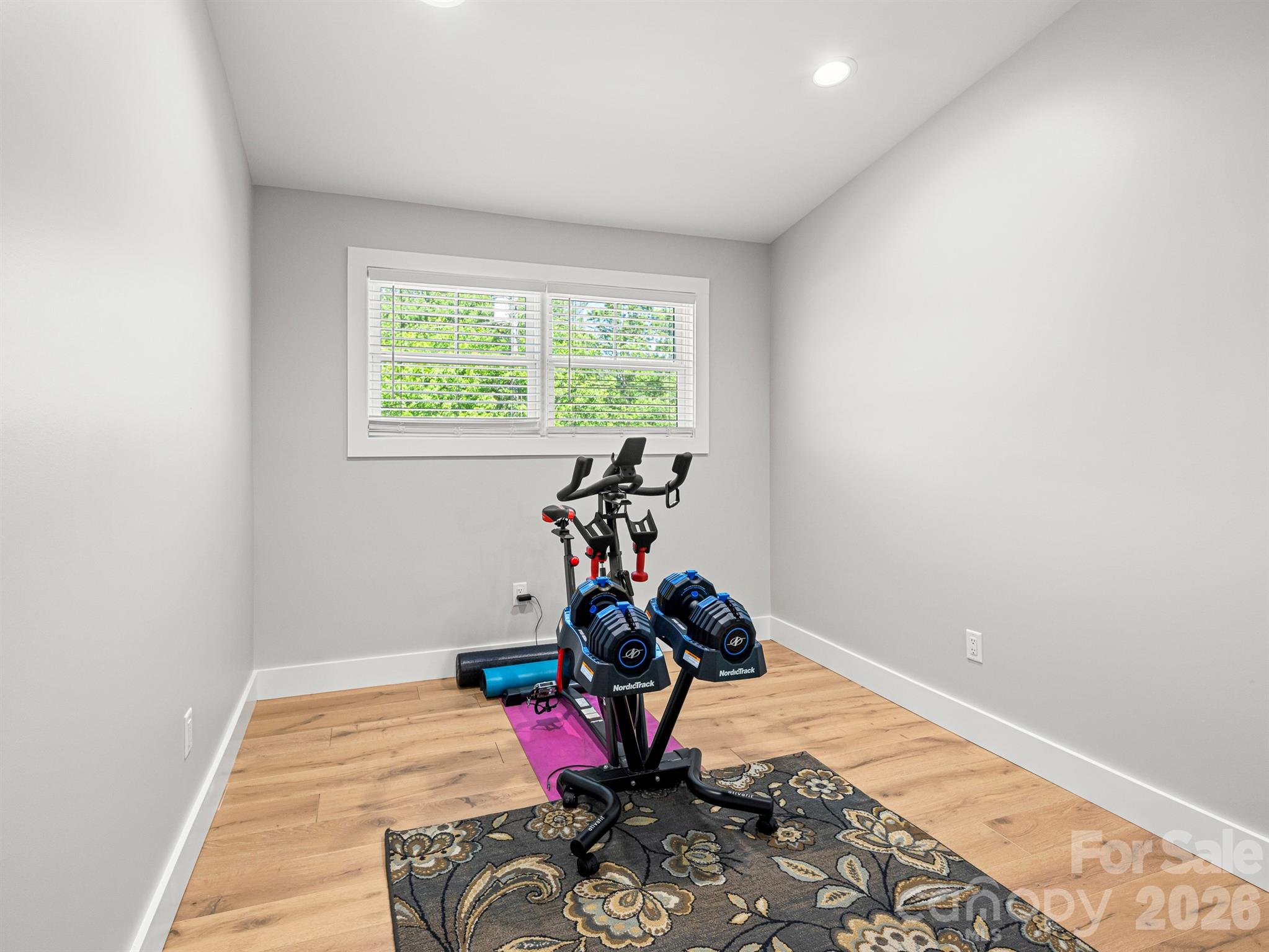 117 Dangerfield Court Property Photo 20