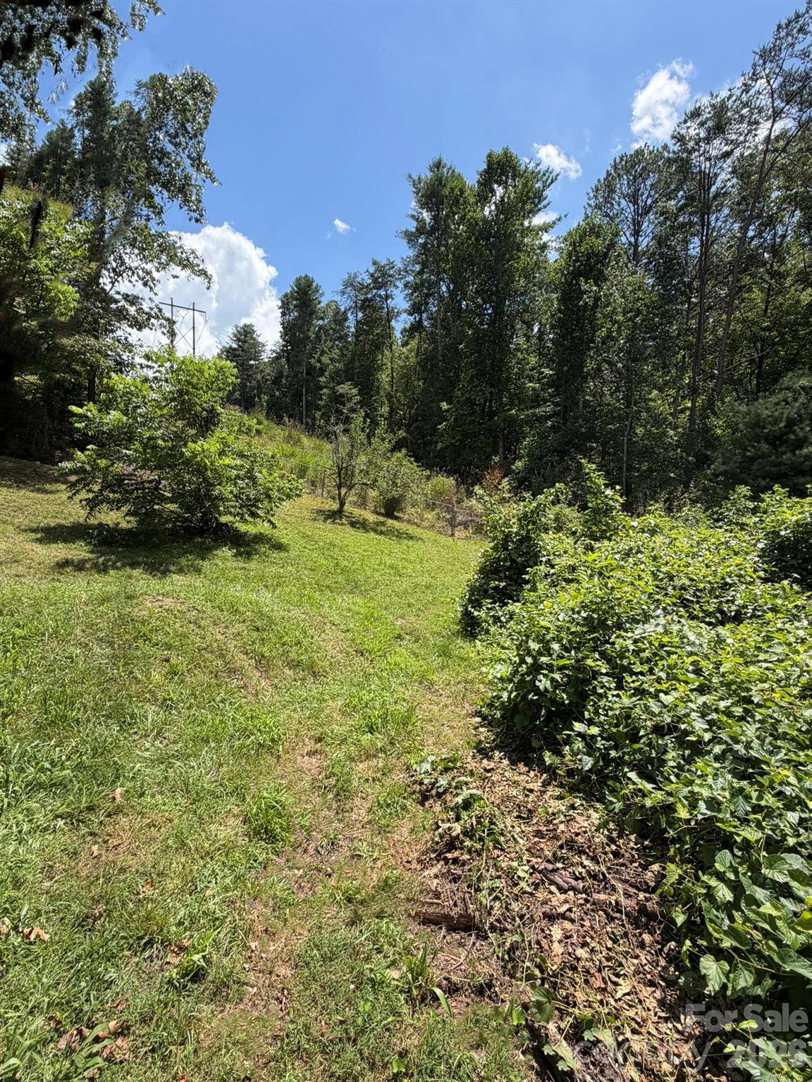 142 Avondale Road Property Photo 21