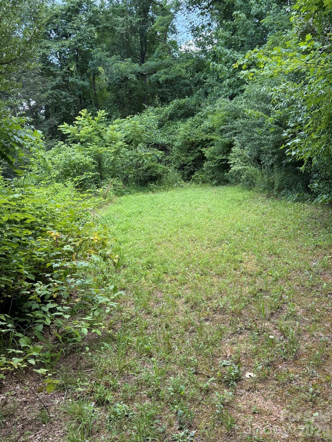 142 Avondale Road Property Photo 22