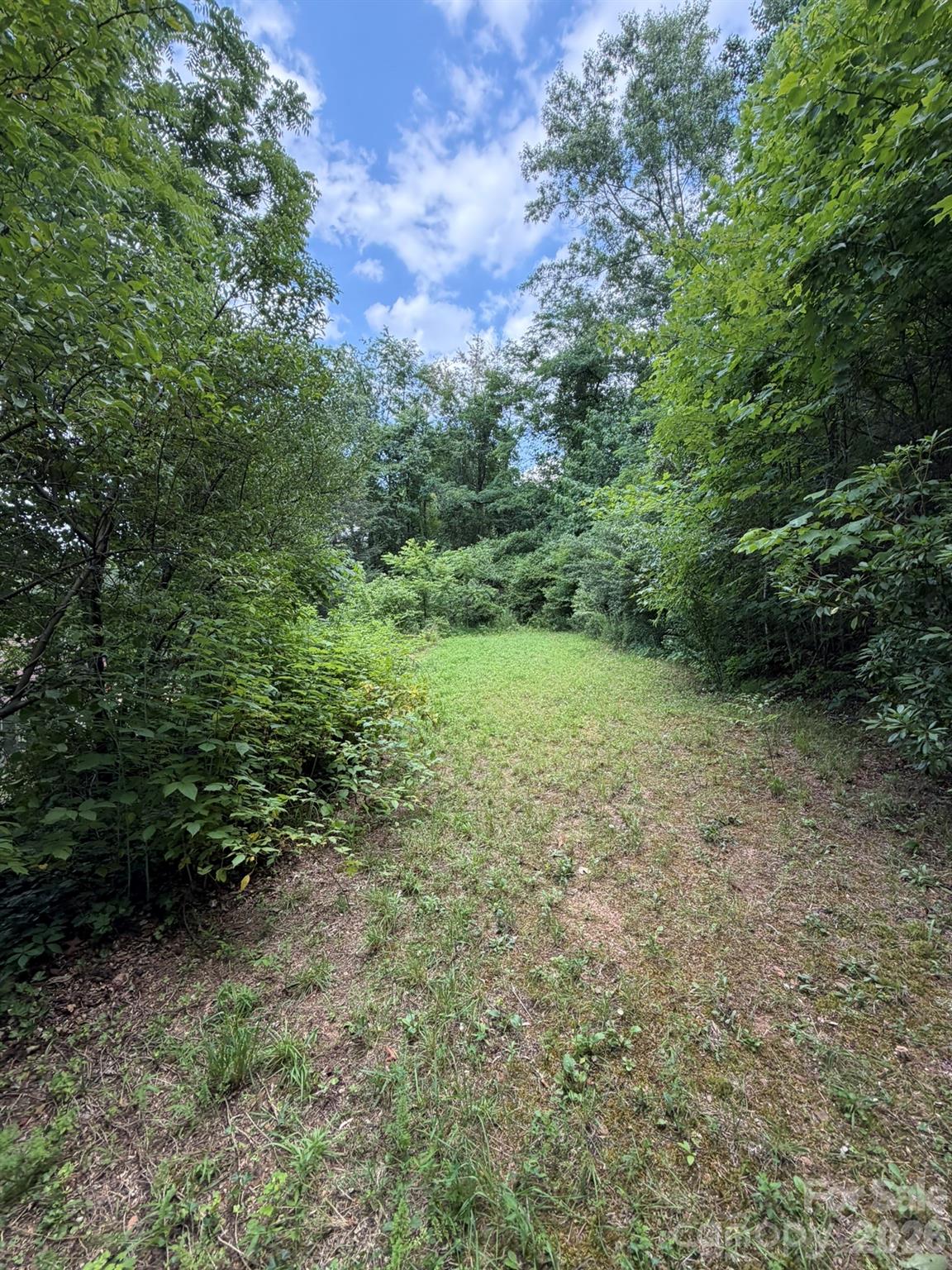 142 Avondale Road Property Photo 24