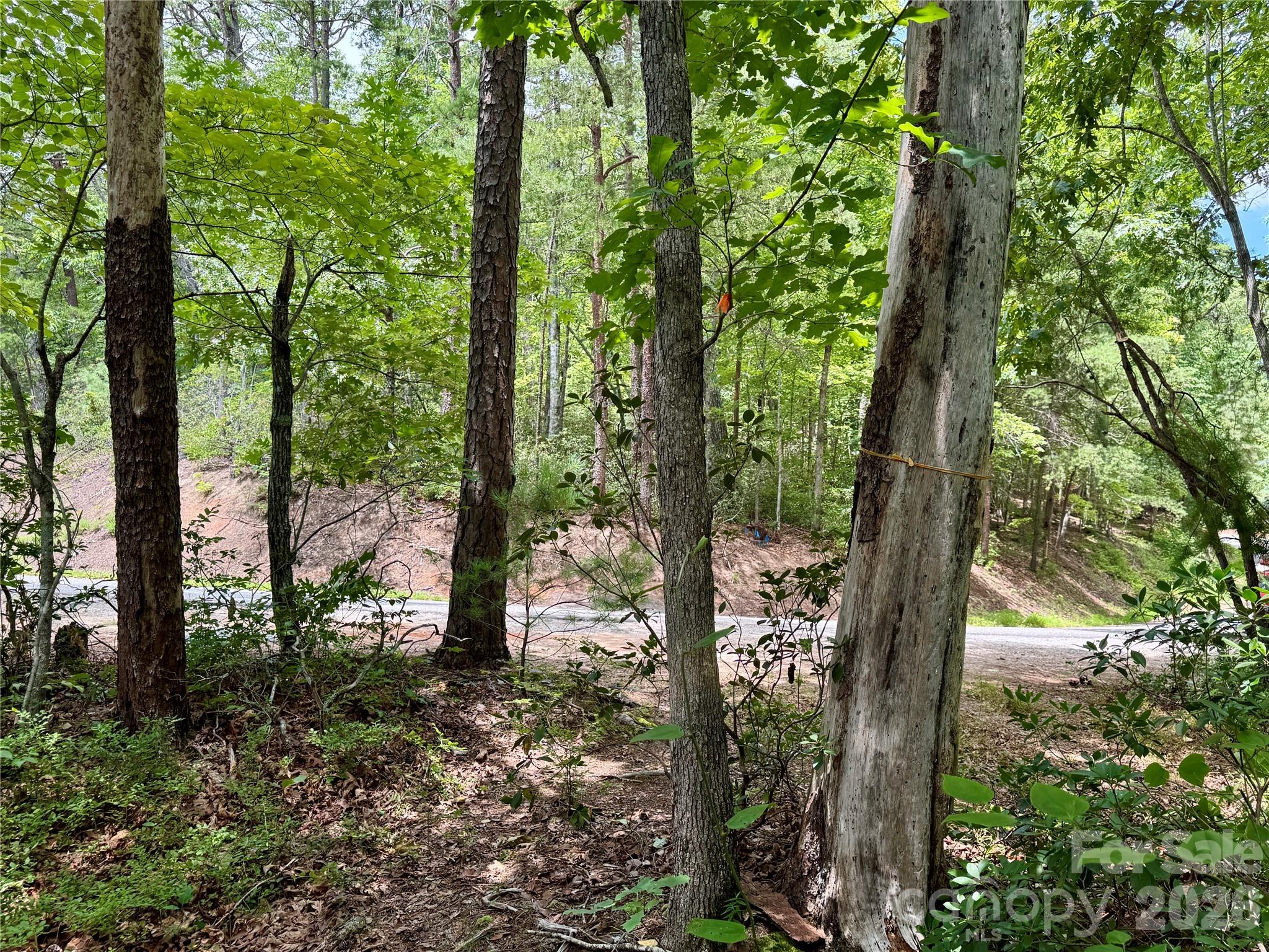 307 Fairway Drive Property Photo 5