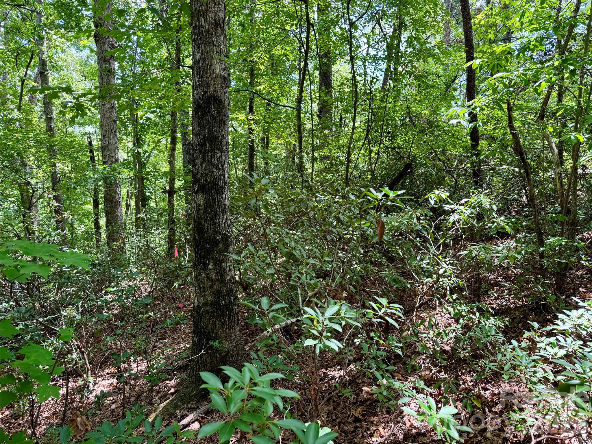 307 Fairway Drive Property Photo 6