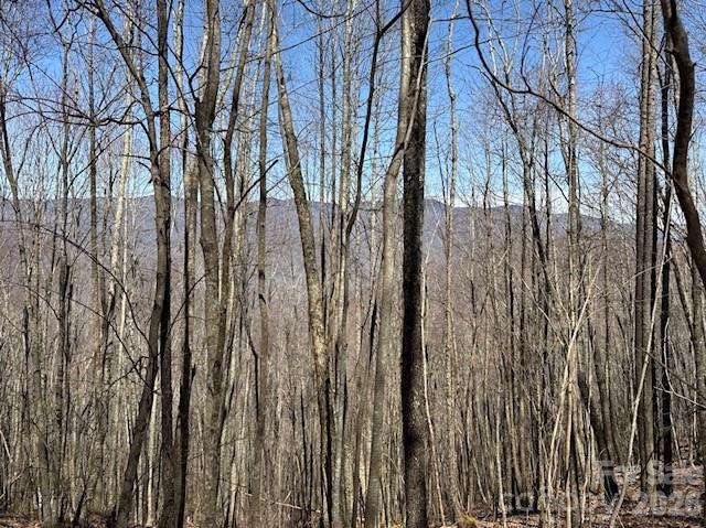 140 Boar Ridge Road Property Photo 2