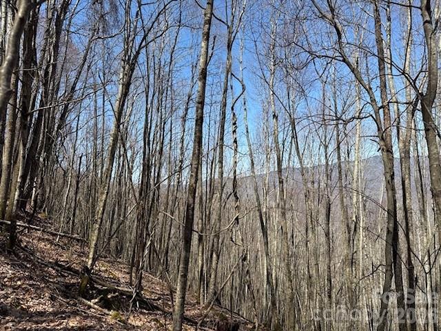 140 Boar Ridge Road Property Photo 5
