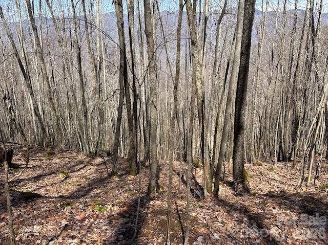 140 Boar Ridge Road Property Photo 6