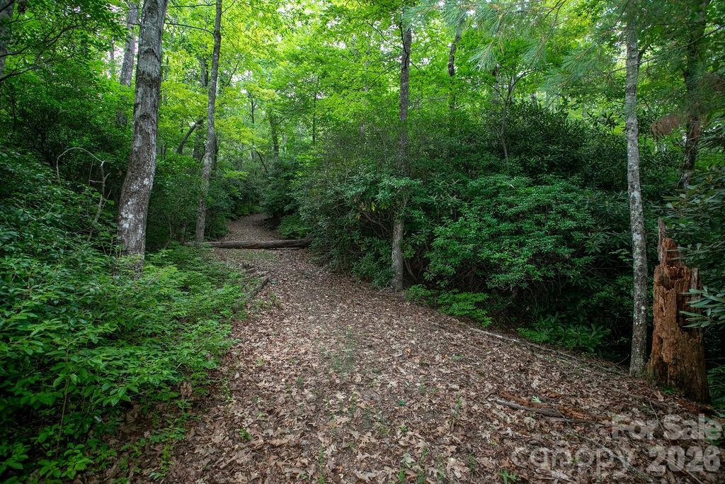 Lot 28 Big Hill Road 28 Property Photo 6