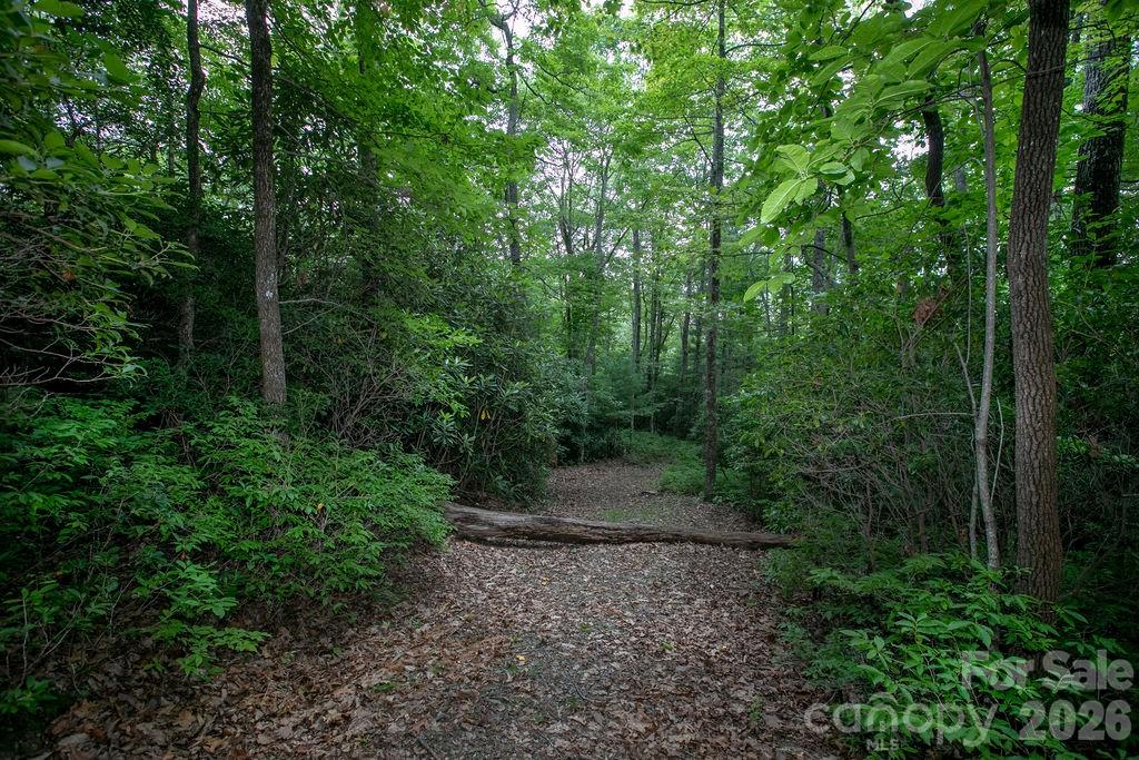 Lot 28 Big Hill Road 28 Property Photo 7