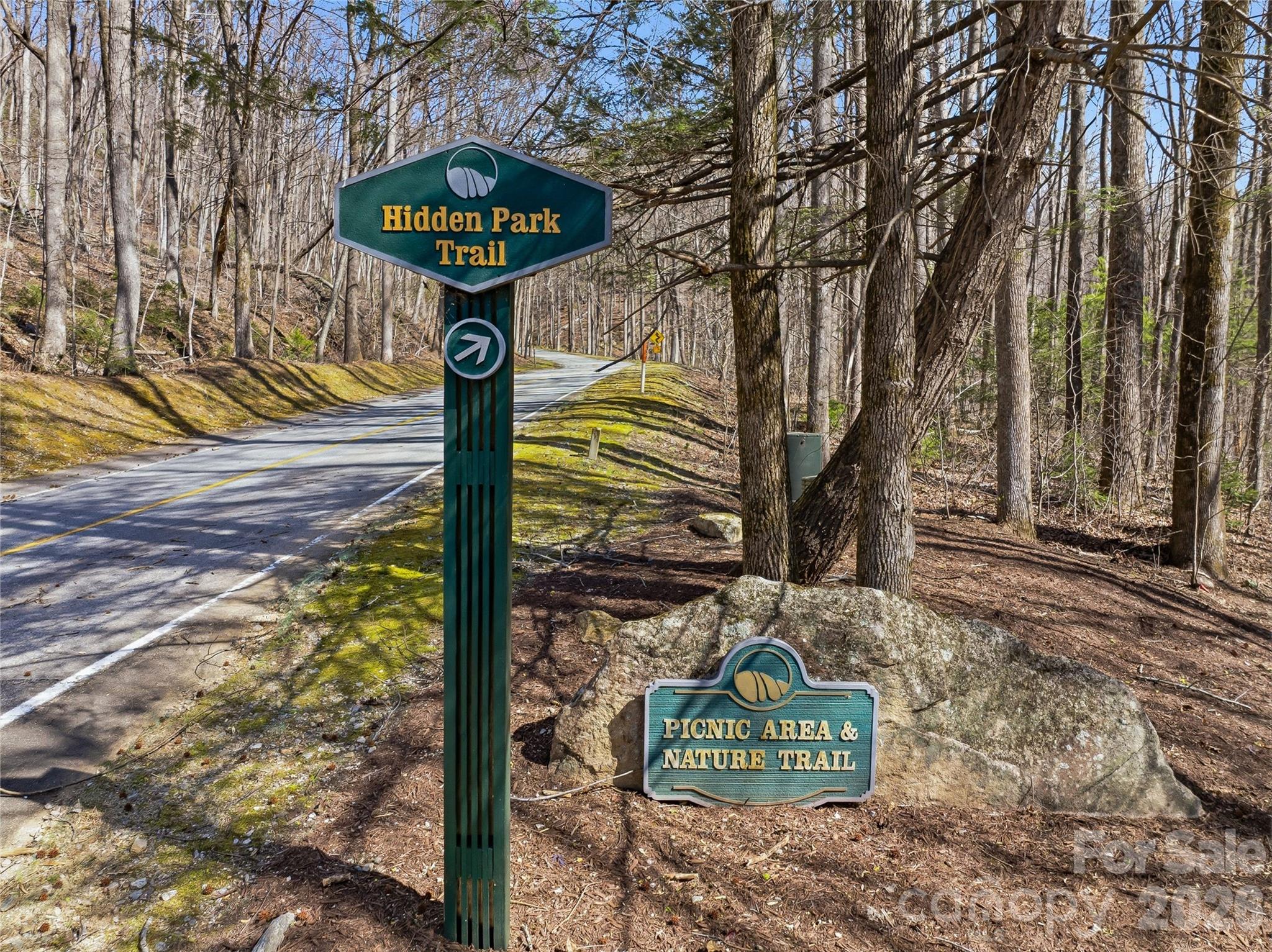 0000 Panther Mountain Road 18 Property Photo 7