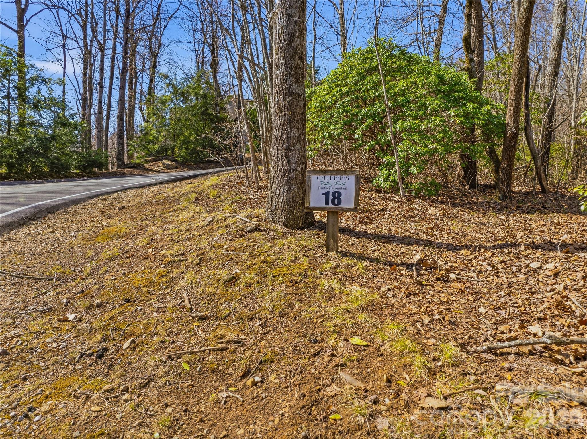 0000 Panther Mountain Road 18 Property Photo 8
