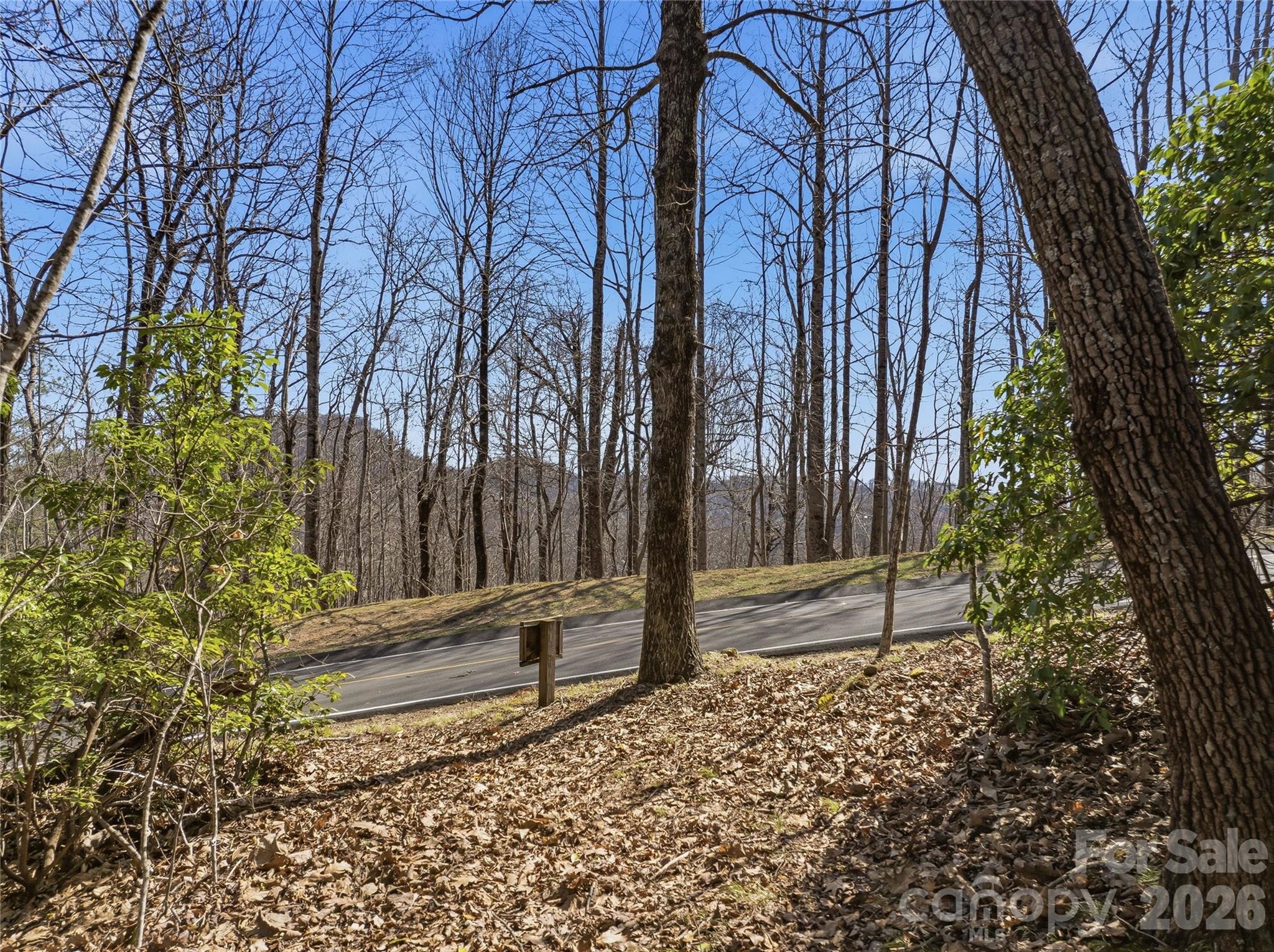 0000 Panther Mountain Road 18 Property Photo 9