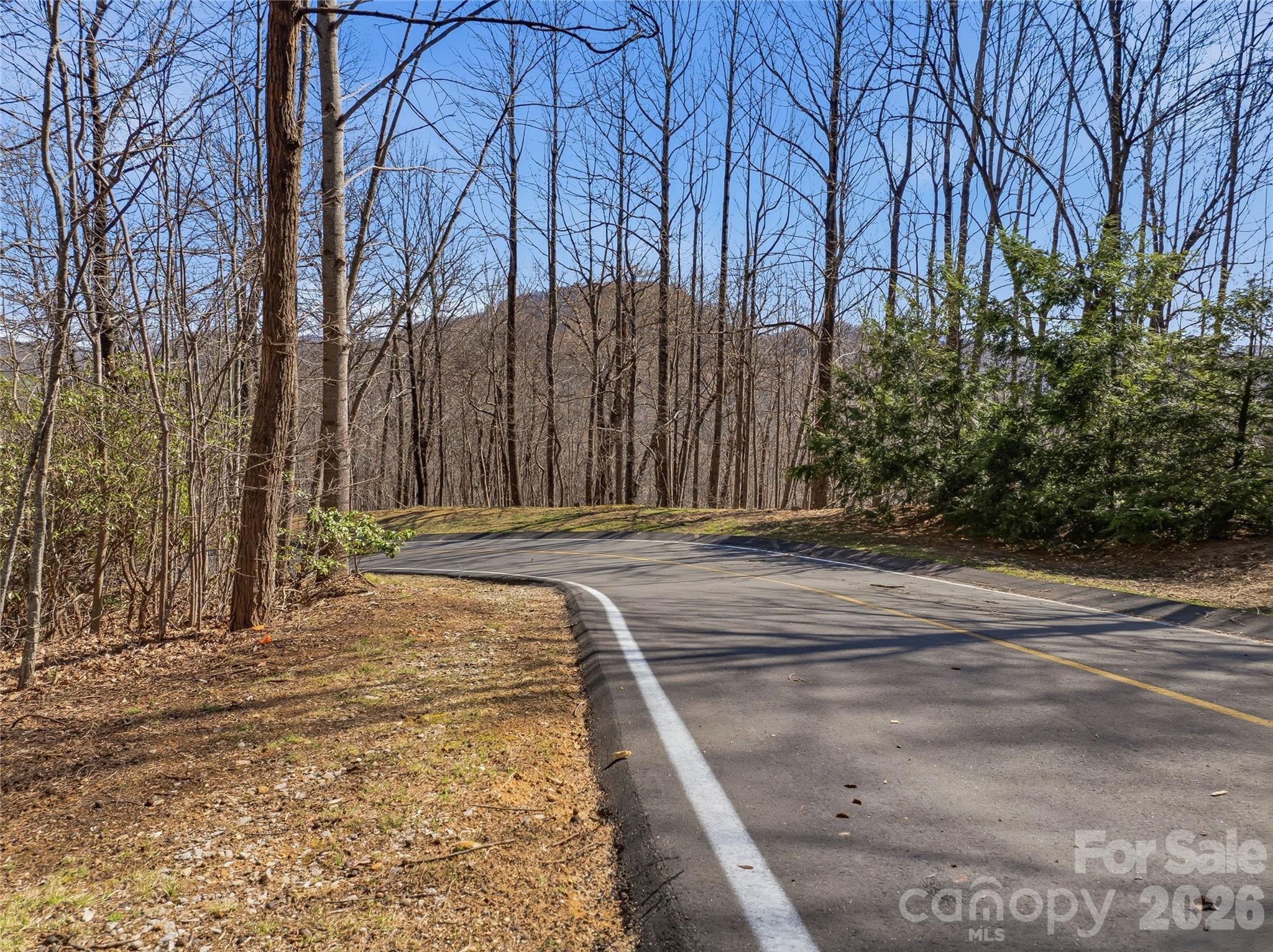 0000 Panther Mountain Road 18 Property Photo 10