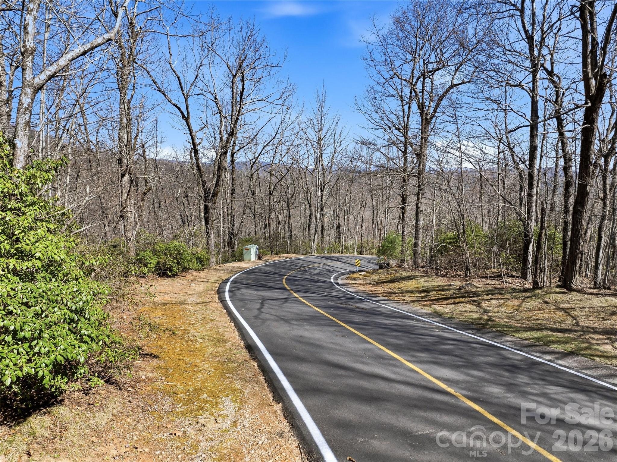 0000 Panther Mountain Road 18 Property Photo 11
