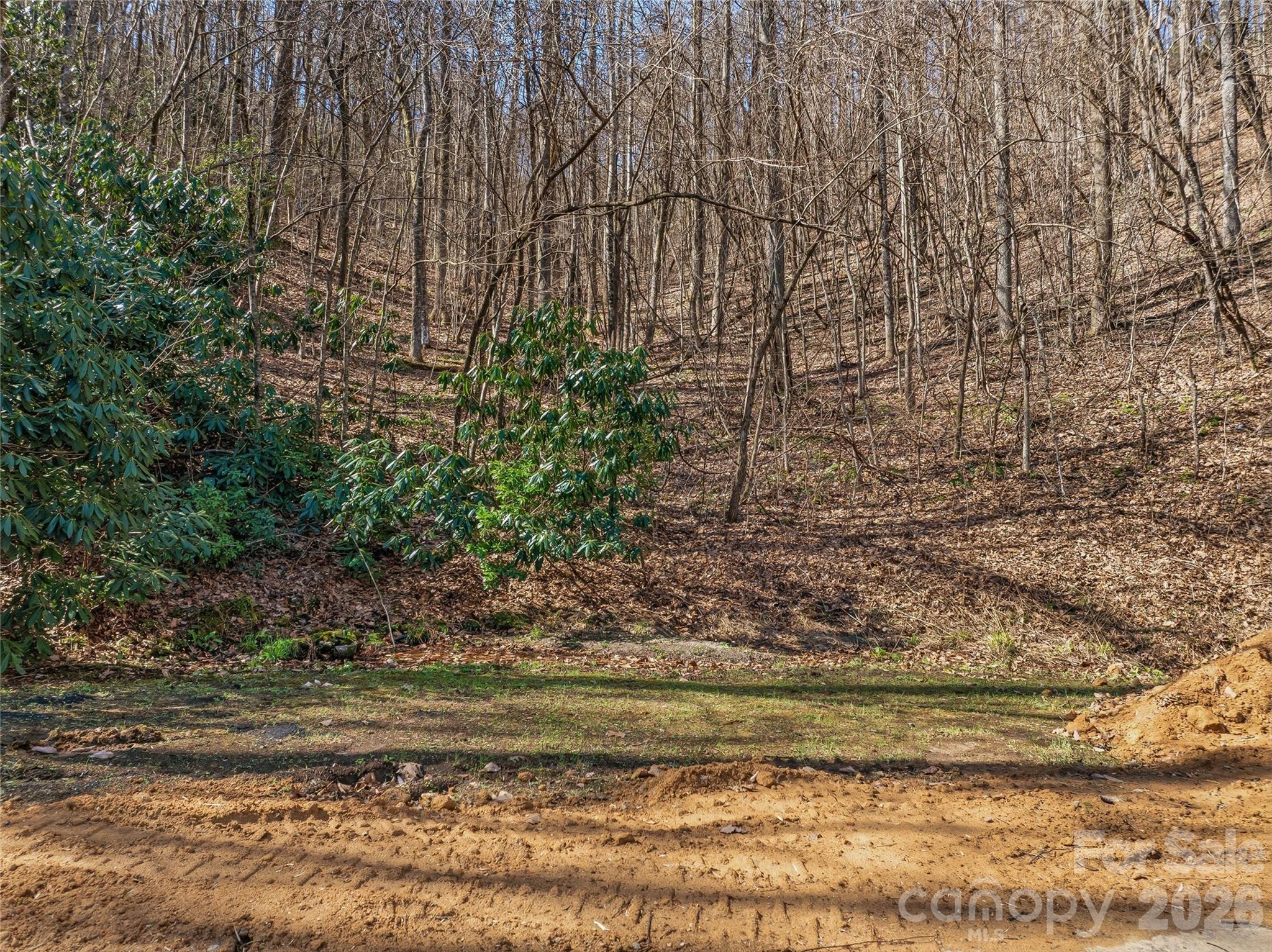 0000 Panther Mountain Road 18 Property Photo 12