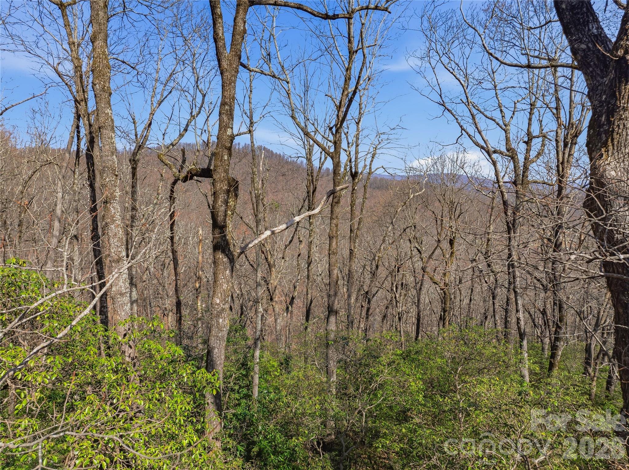0000 Panther Mountain Road 18 Property Photo 13