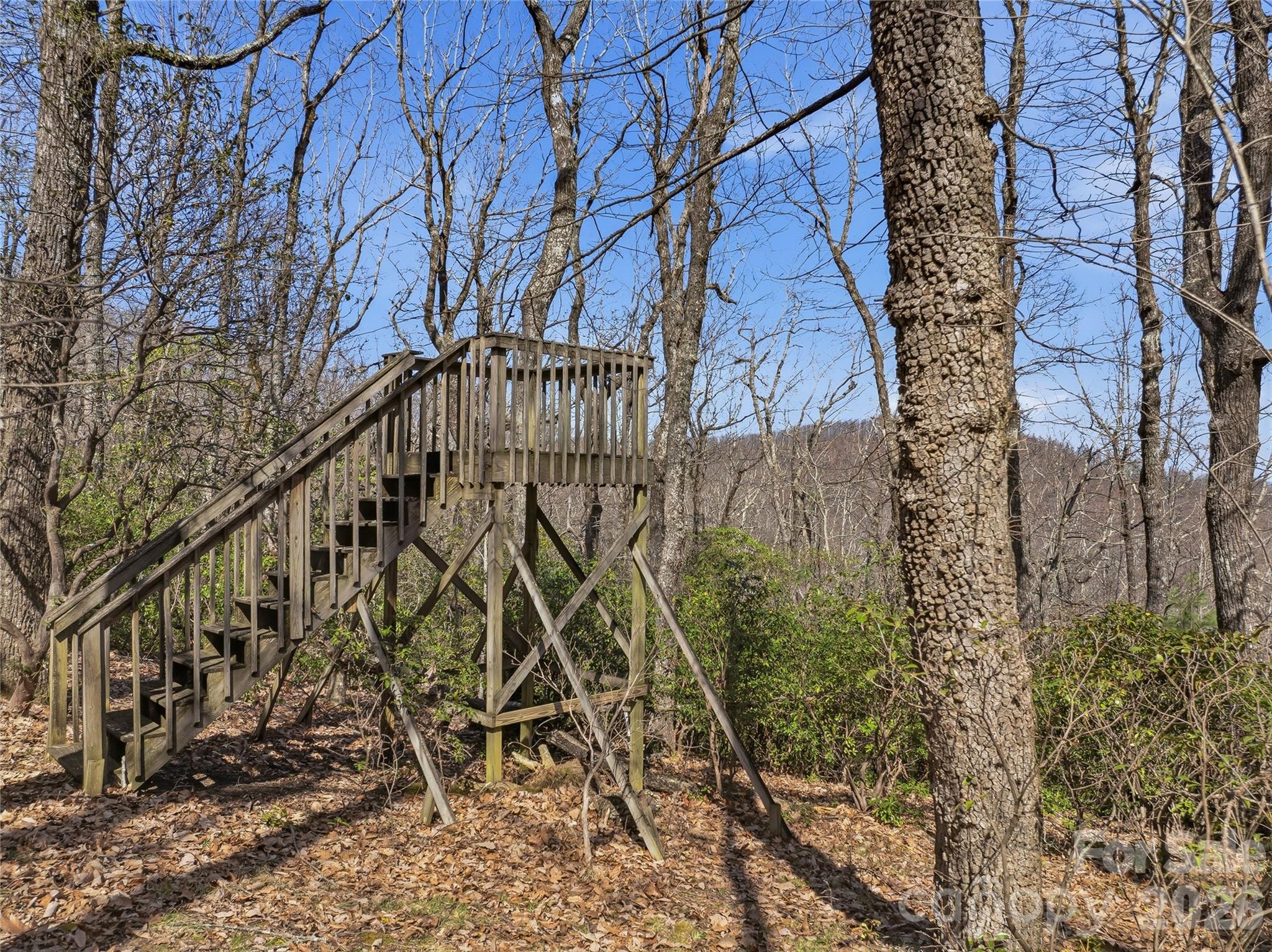 0000 Panther Mountain Road 18 Property Photo 14