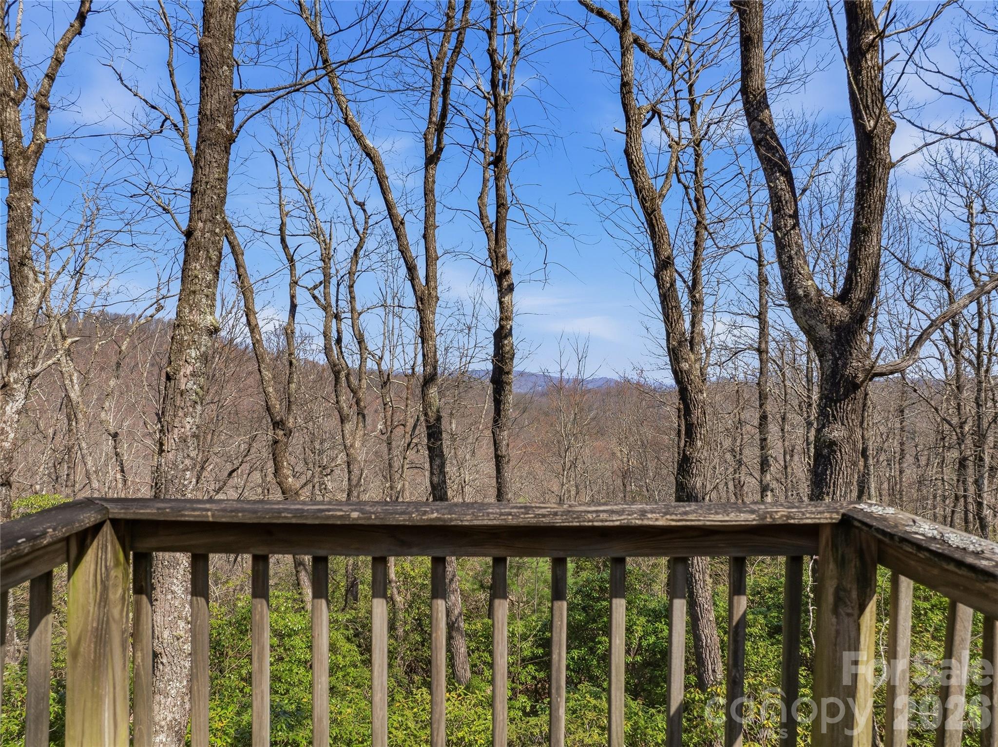 0000 Panther Mountain Road 18 Property Photo 15