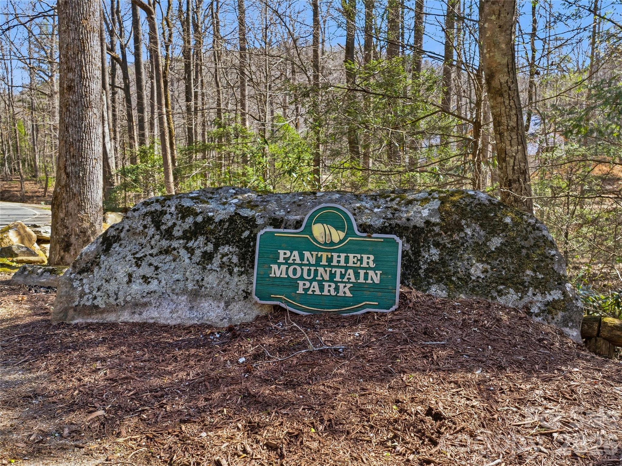 0000 Panther Mountain Road 18 Property Photo 16
