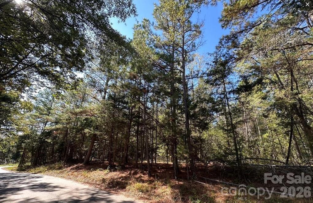 00 Poverty Hollow Road Property Photo 1