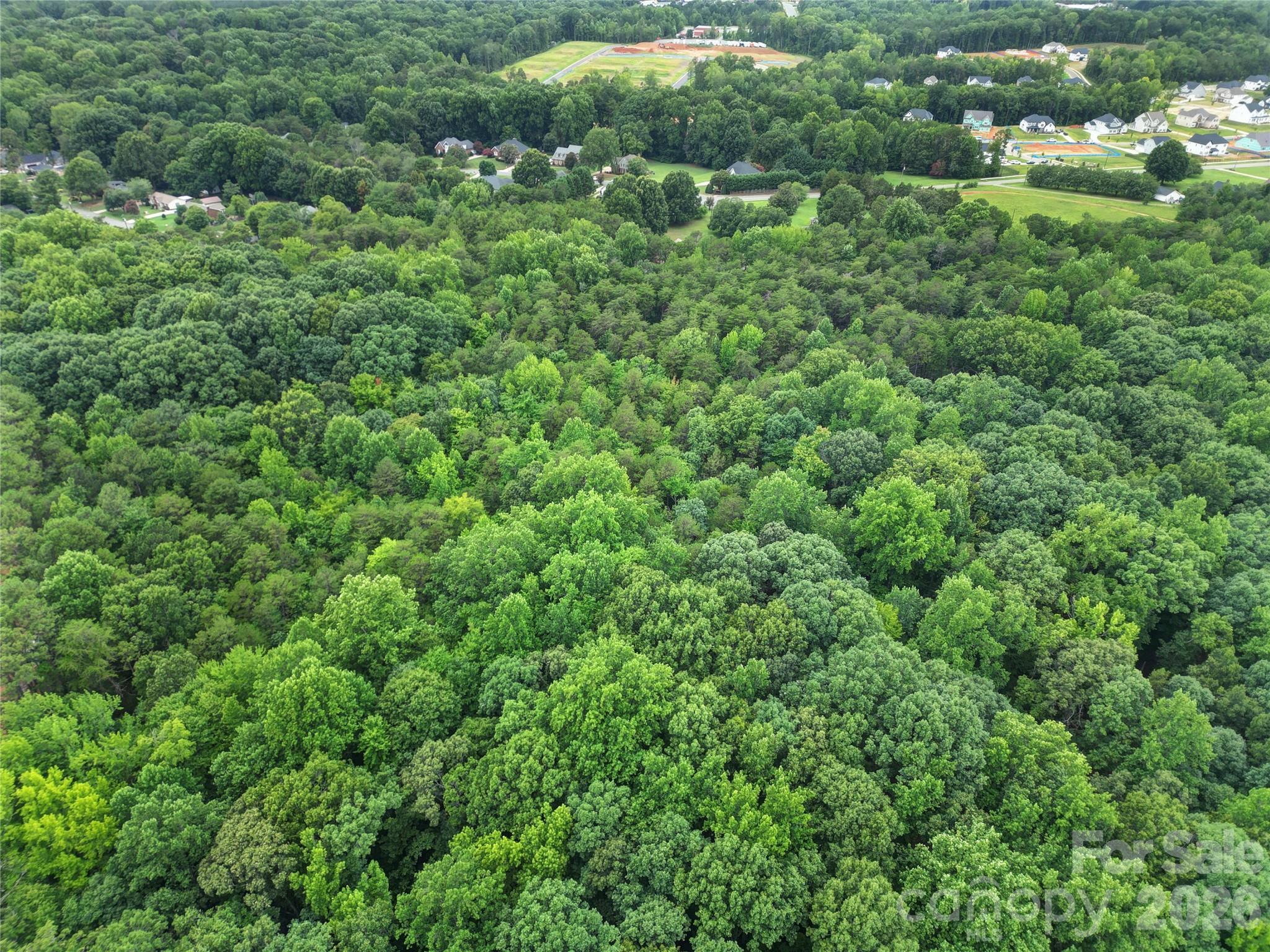 10720 Williams Road Property Photo 8