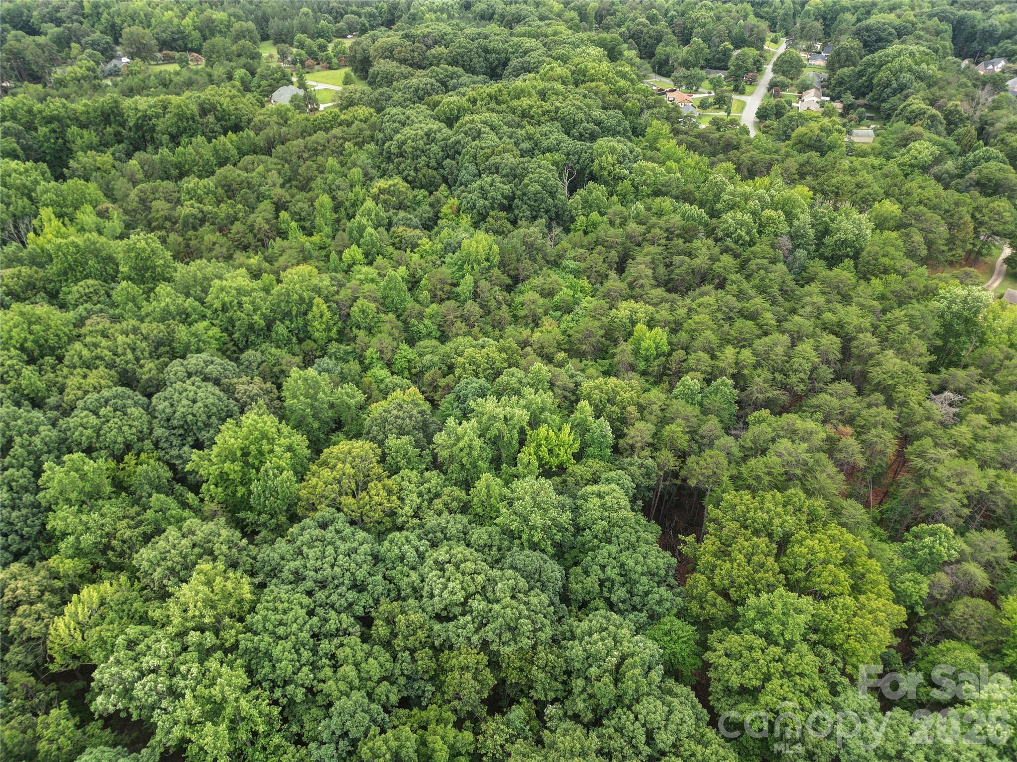 10720 Williams Road Property Photo 10