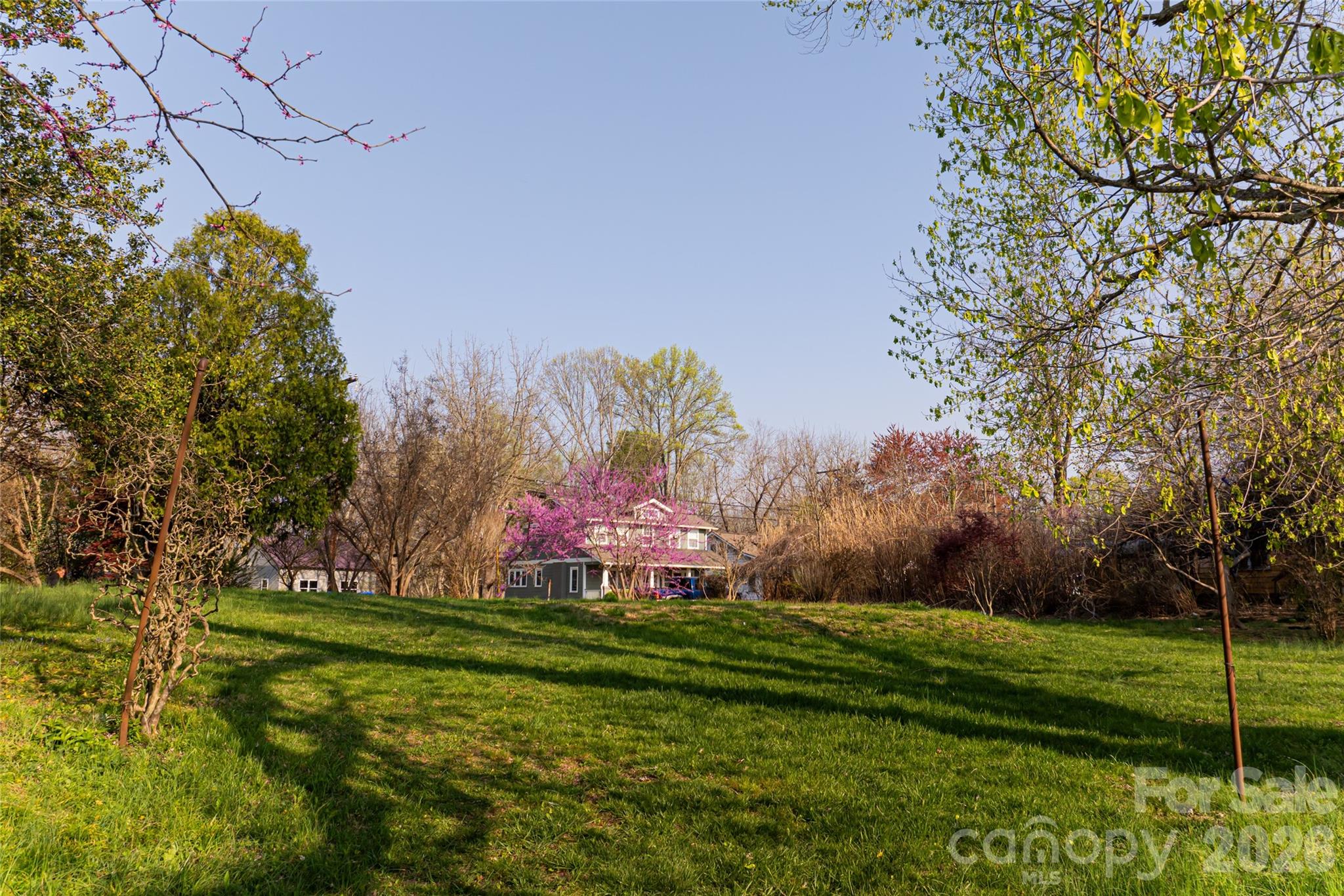 11 Westwood Place Property Photo 2
