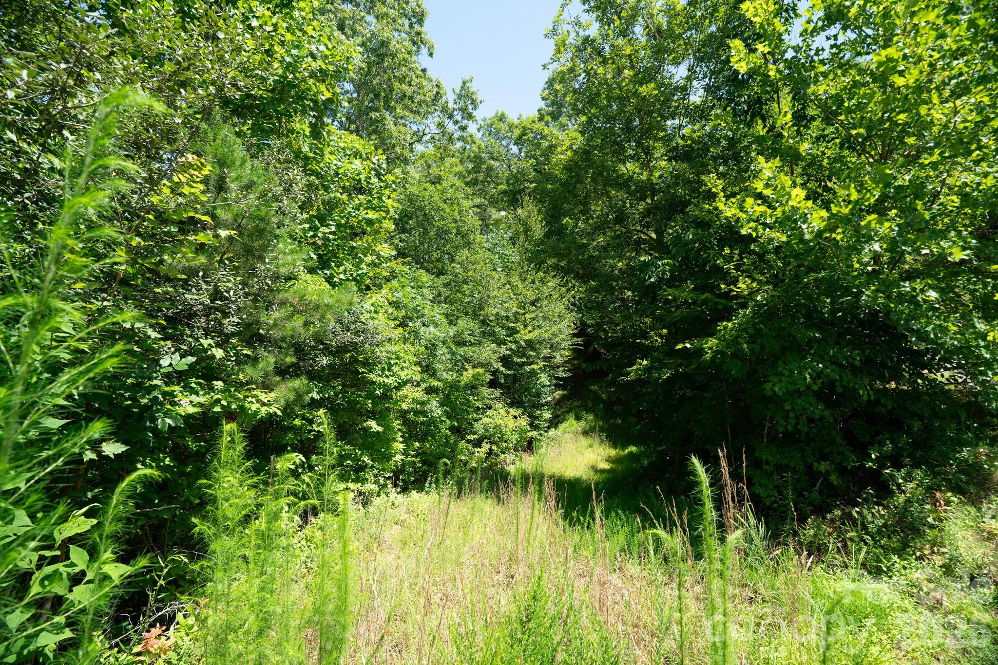 230 White Rapid Road 35 Property Photo 8