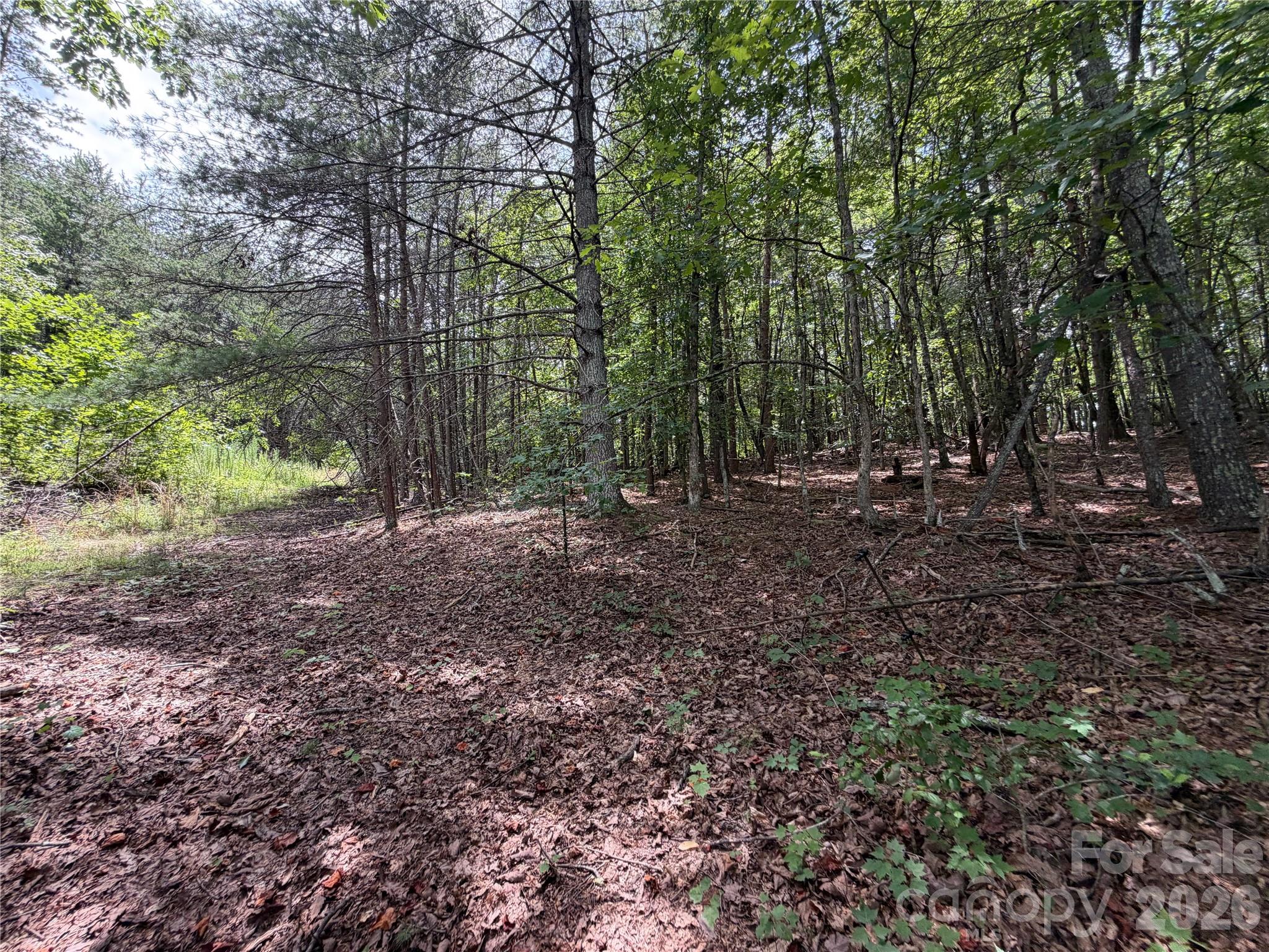 5022 Old Nc 18 Highway Property Photo 31