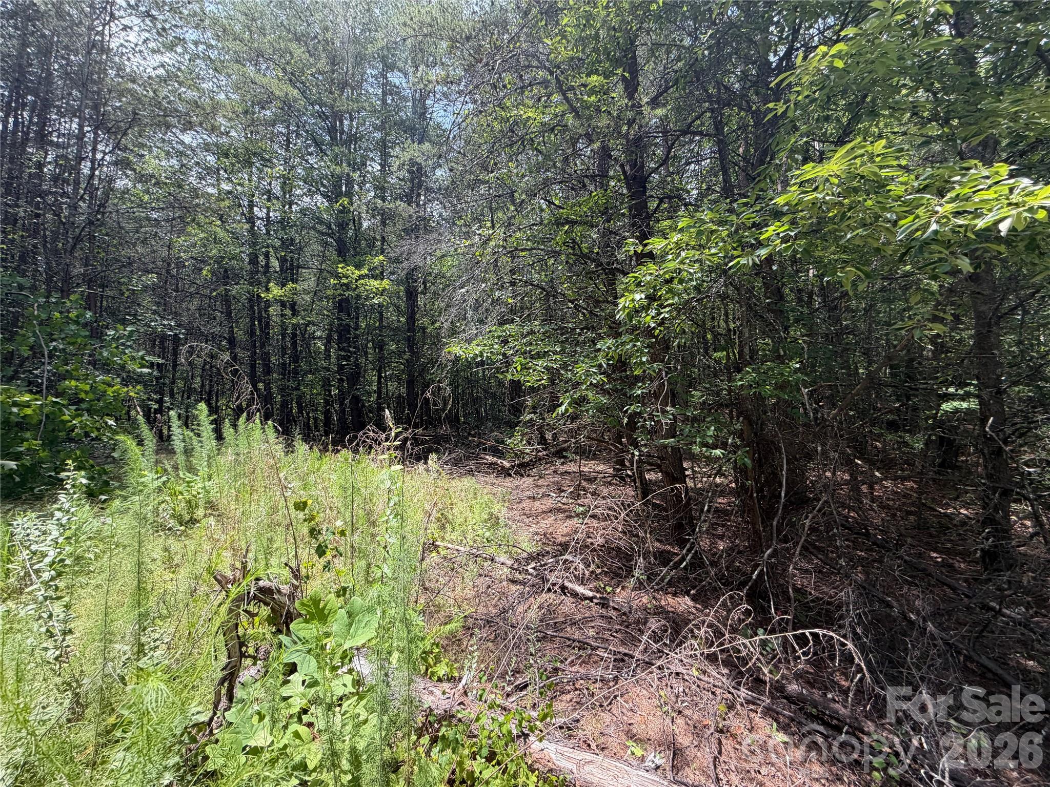 5022 Old Nc 18 Highway Property Photo 33