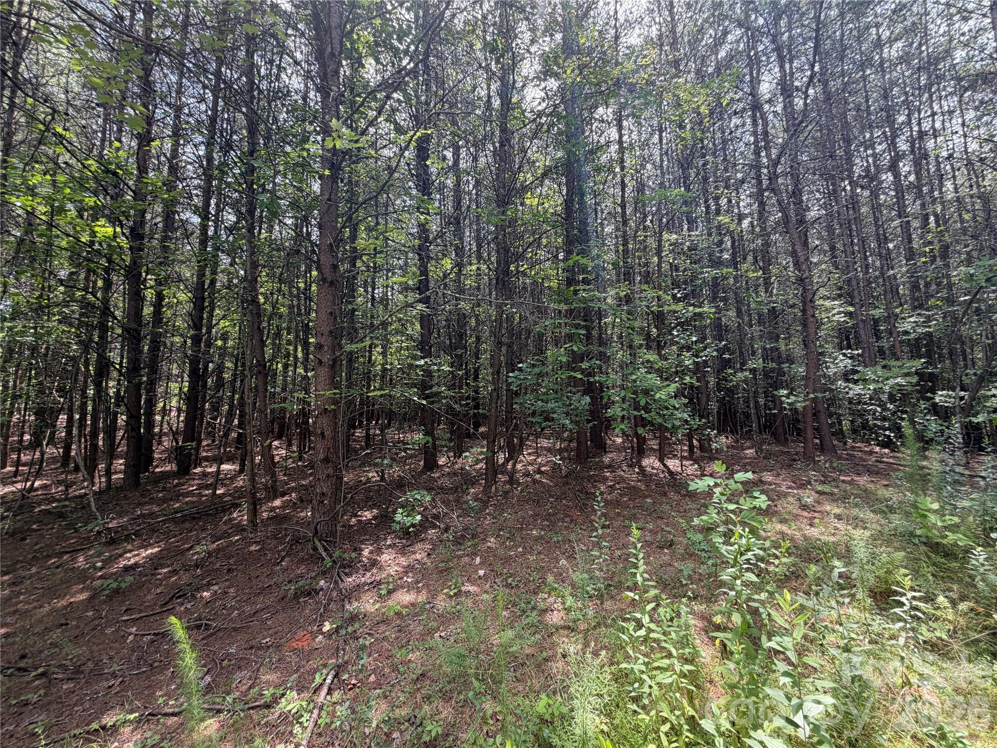 5022 Old Nc 18 Highway Property Photo 34