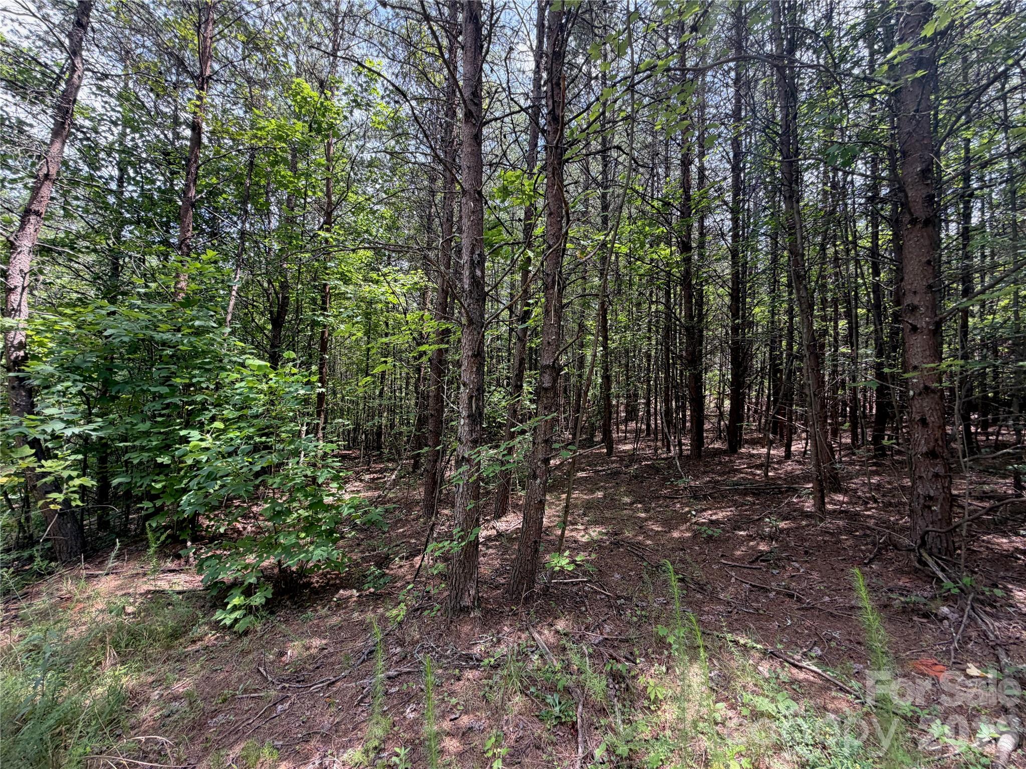 5022 Old Nc 18 Highway Property Photo 35