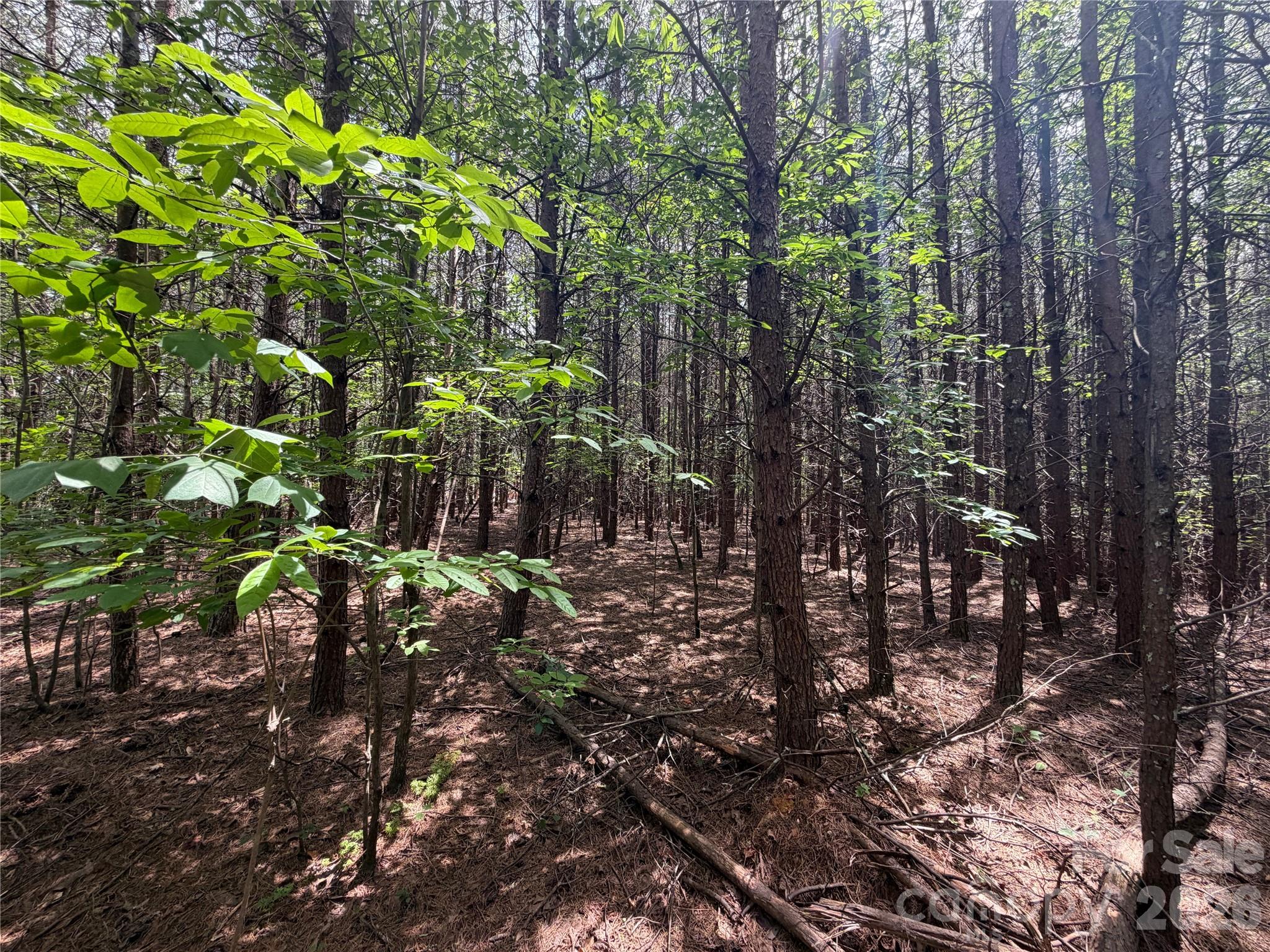5022 Old Nc 18 Highway Property Photo 36