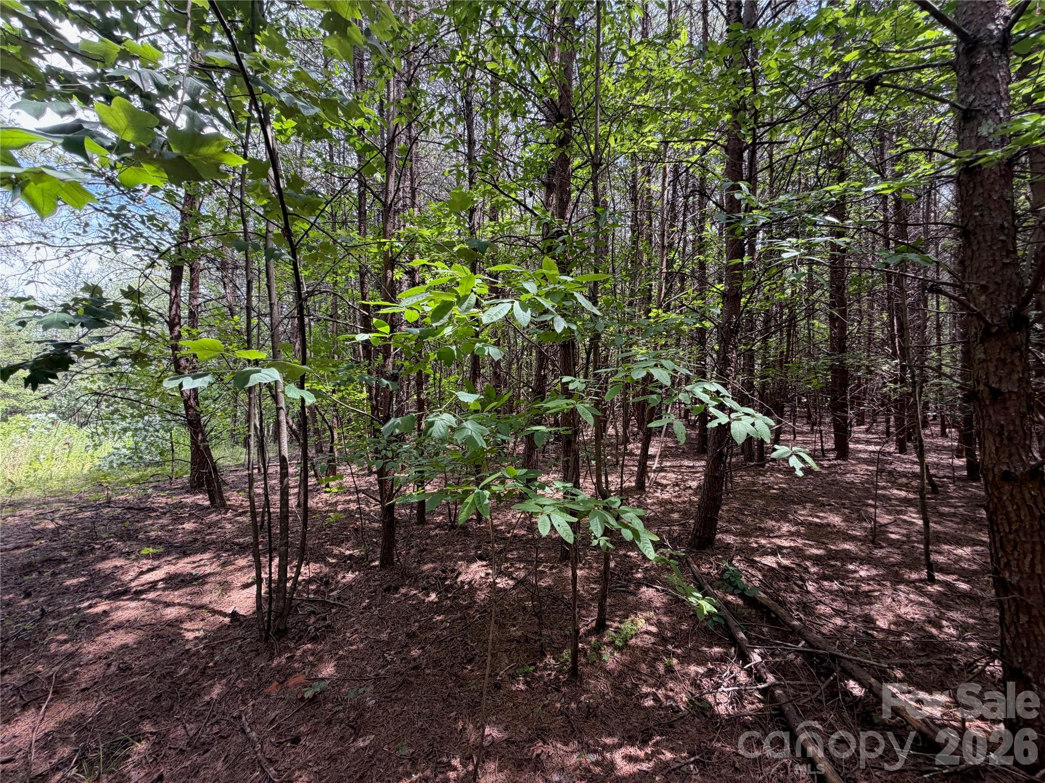 5022 Old Nc 18 Highway Property Photo 37