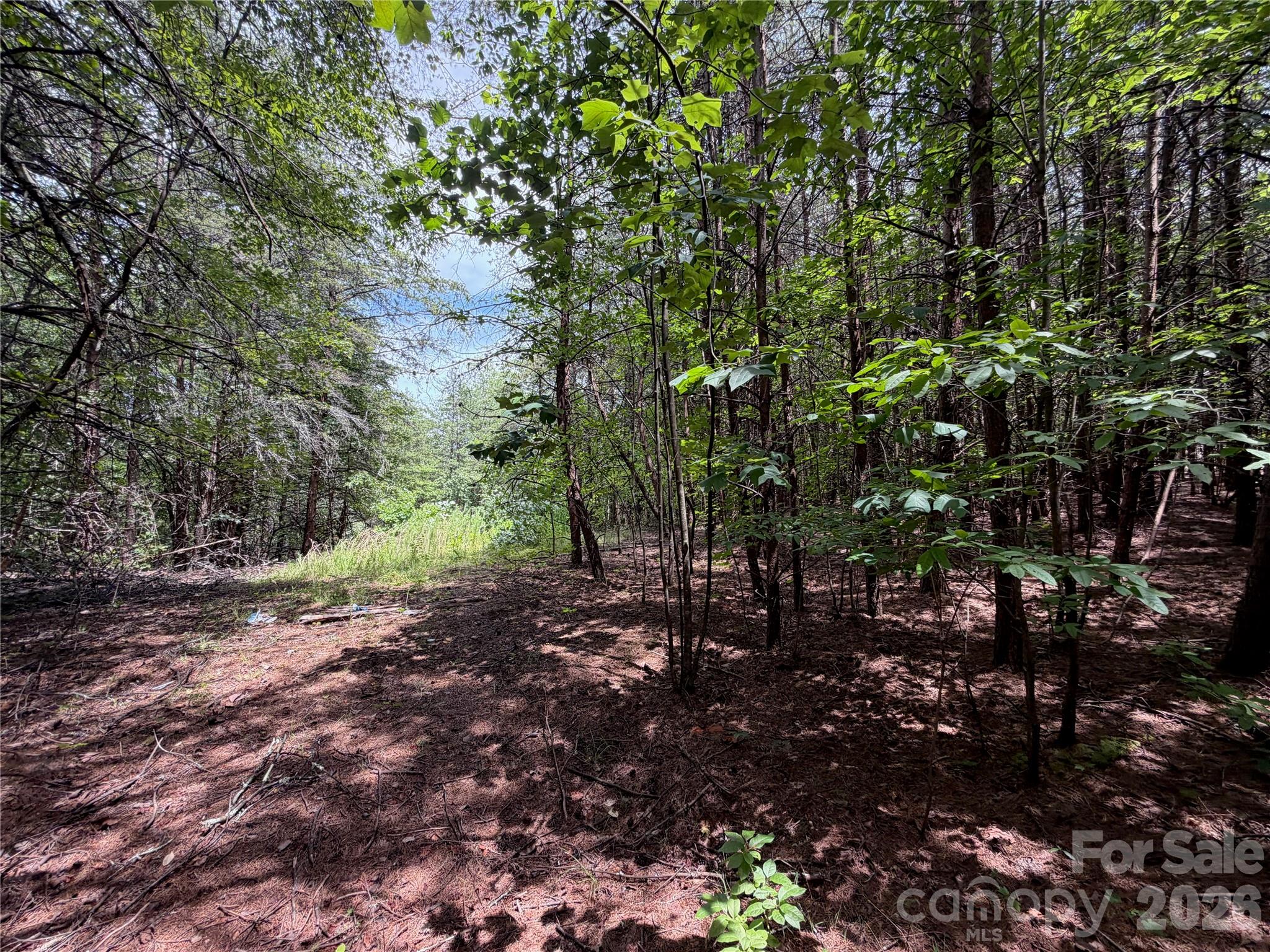 5022 Old Nc 18 Highway Property Photo 38