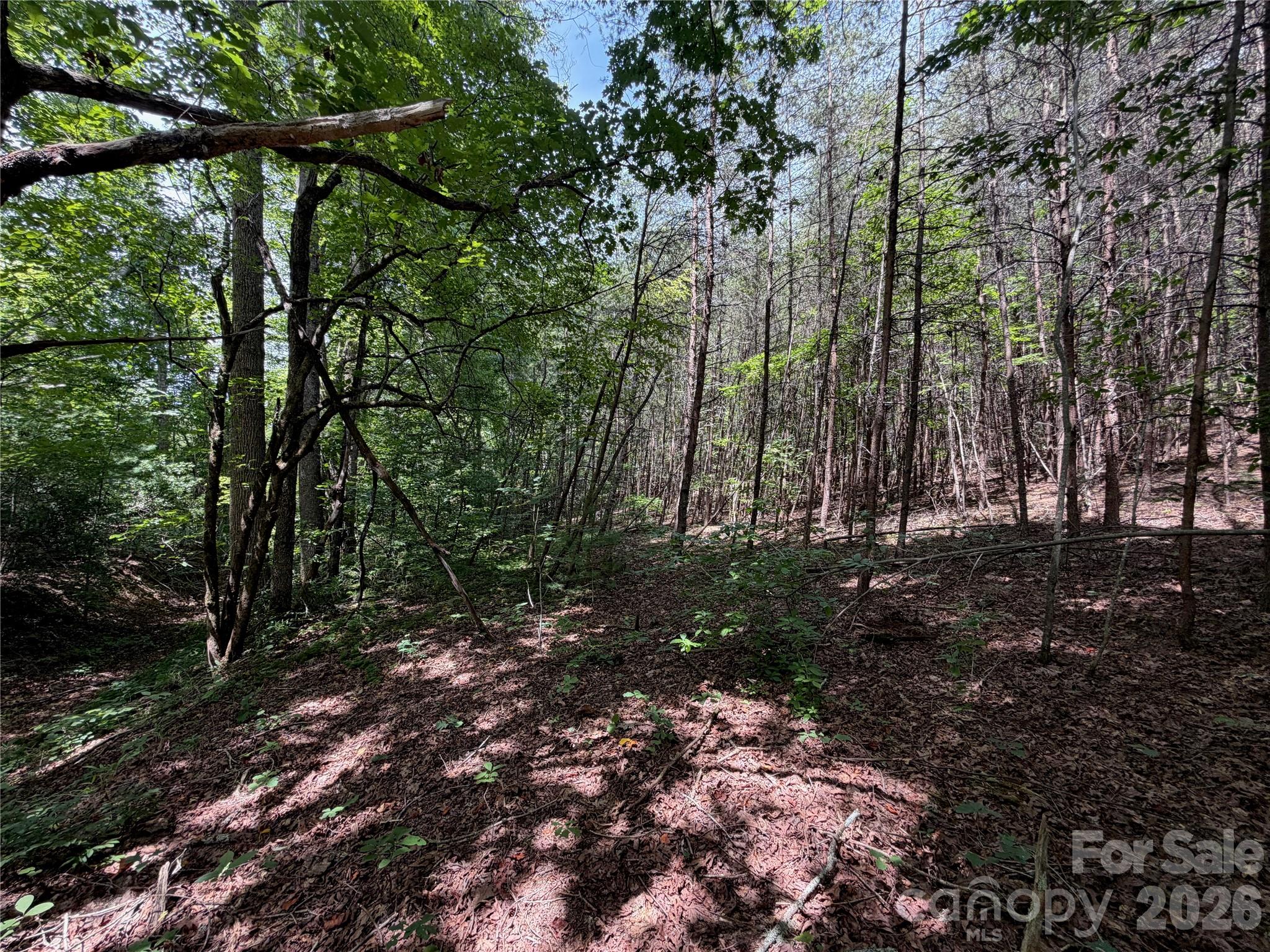 5022 Old Nc 18 Highway Property Photo 39