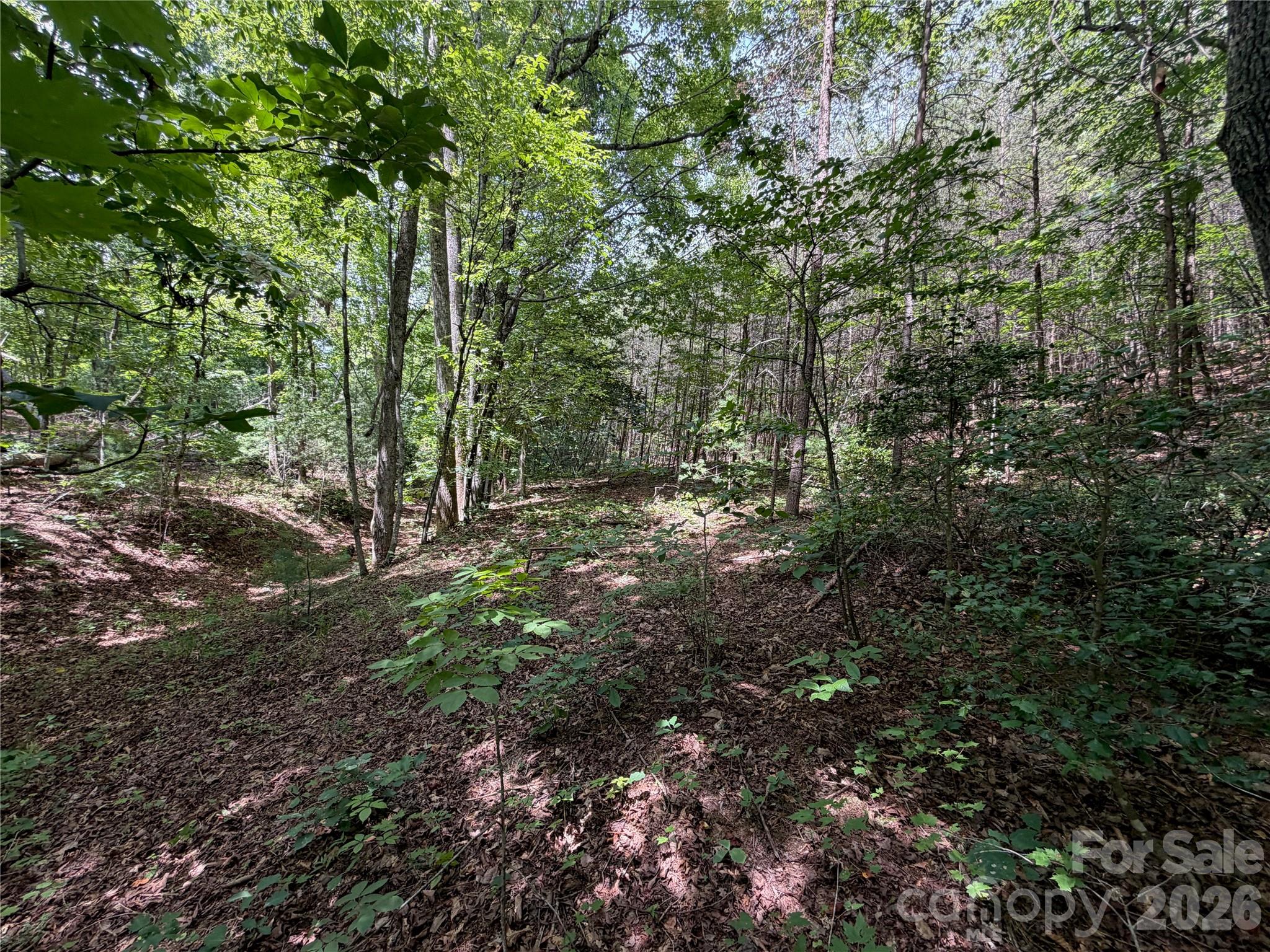 5022 Old Nc 18 Highway Property Photo 40