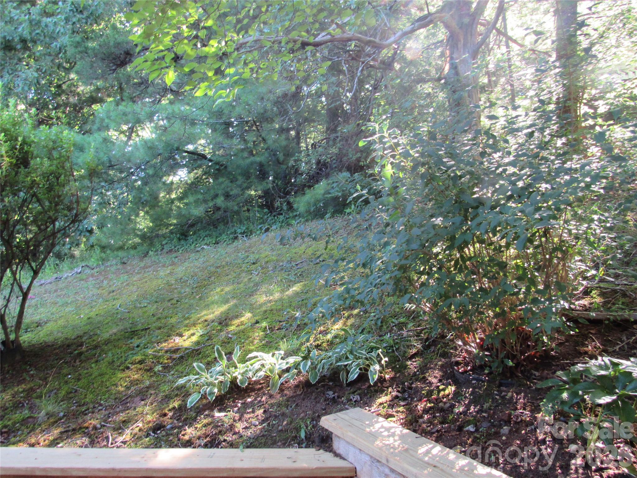 6 Woodlands Drive Property Photo 4