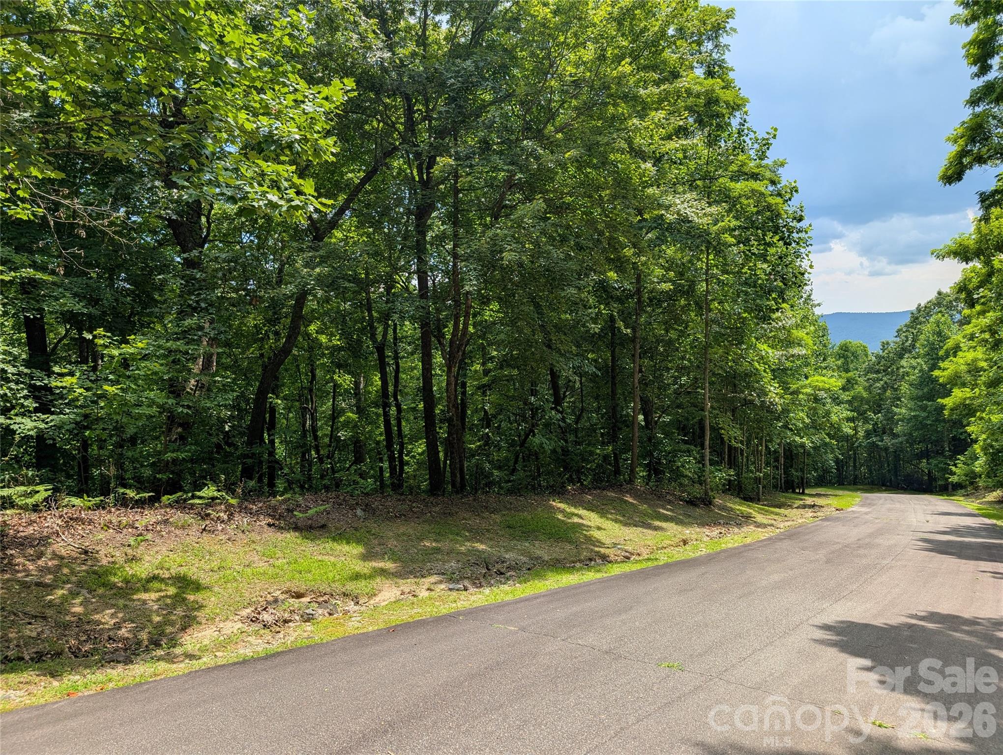 115 Ivywood Lane Property Photo 3