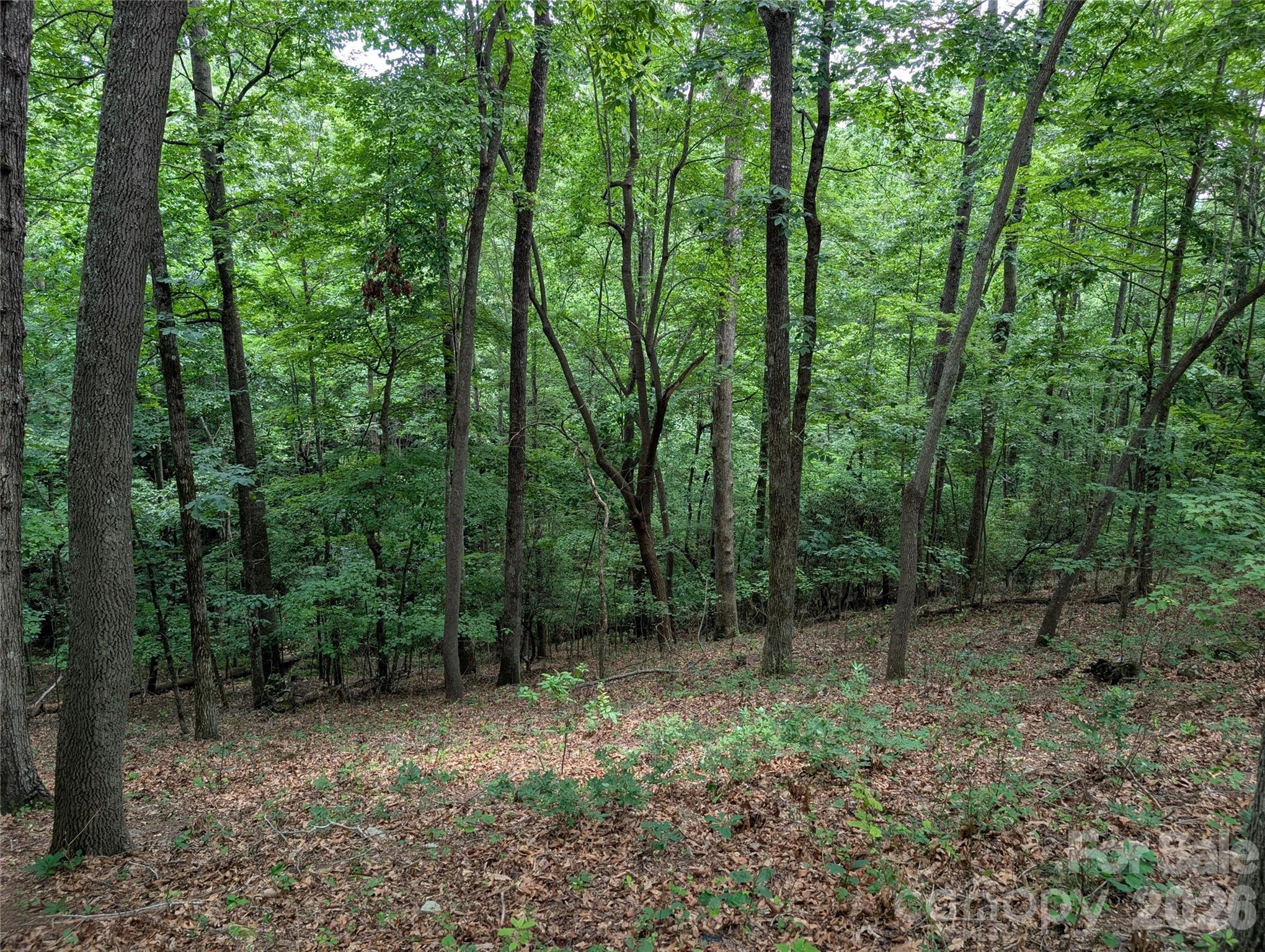 115 Ivywood Lane Property Photo 7