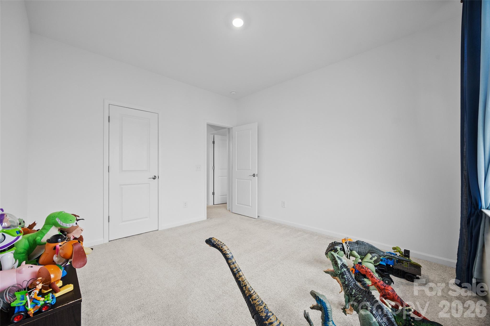 1184 Lost Cove Road Property Photo 28