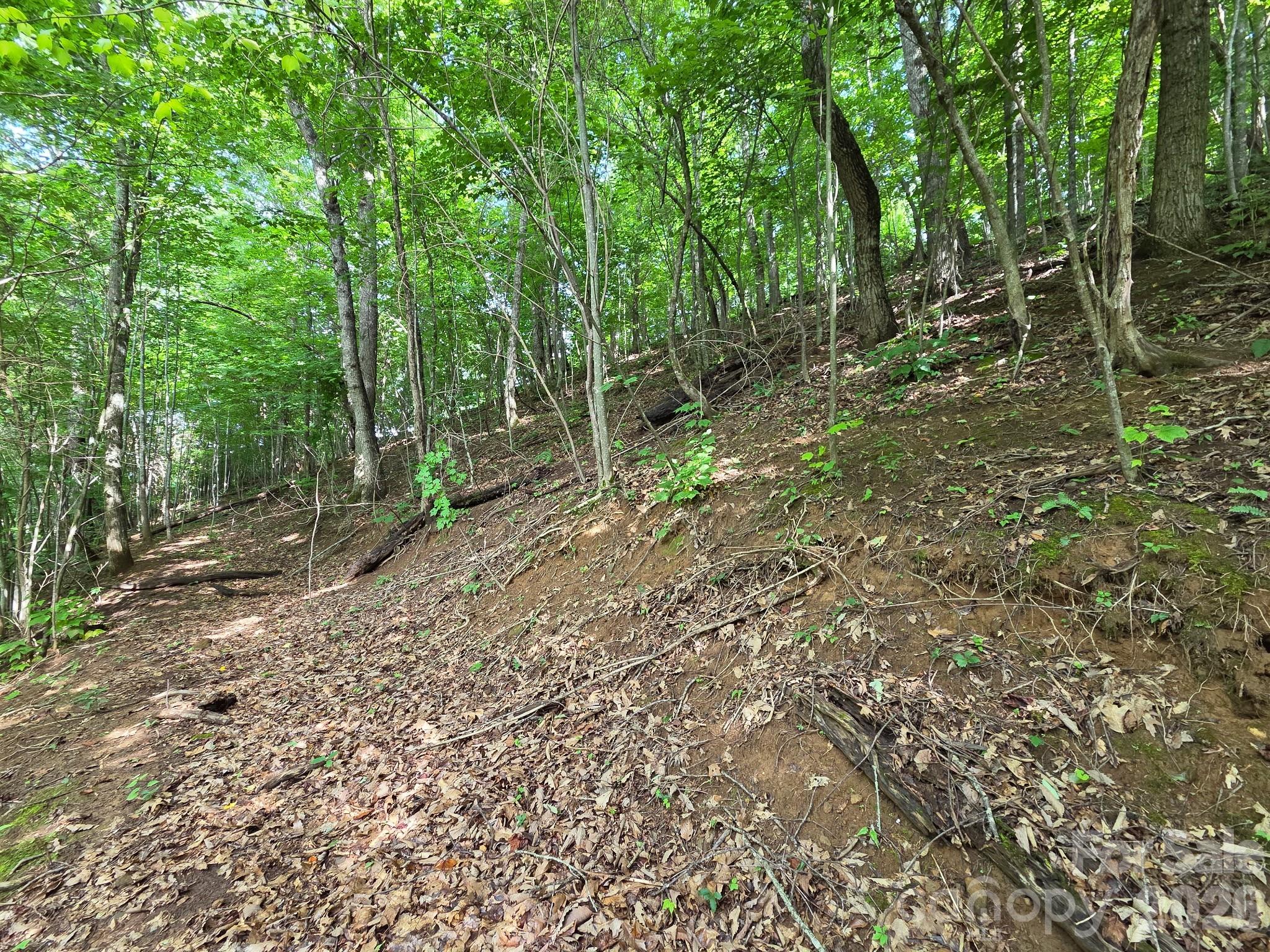 Tbd Grandview Cliff Heights Property Photo 1