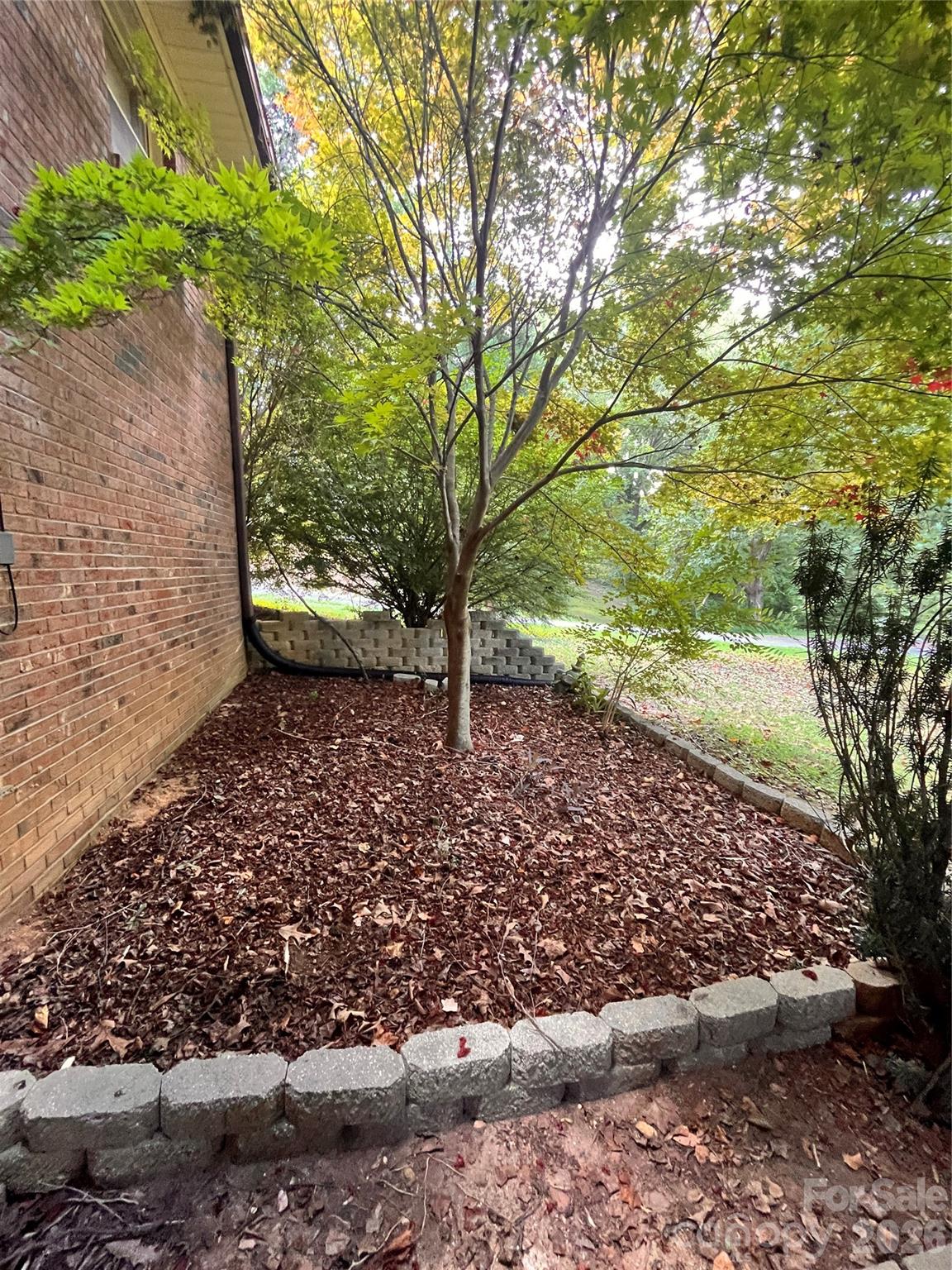 410 Thompson Street Property Photo 20