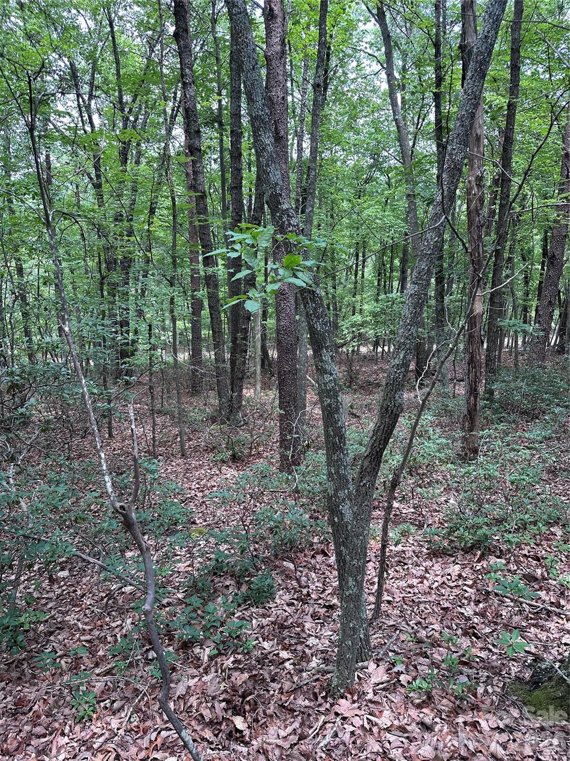 1070 Elm Street Property Photo 3