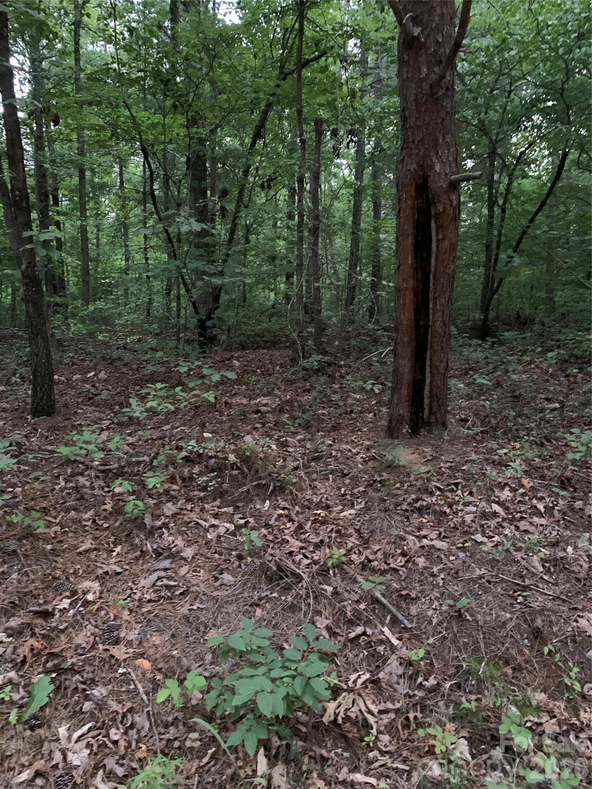 0 Ore Bank Road Property Photo 1