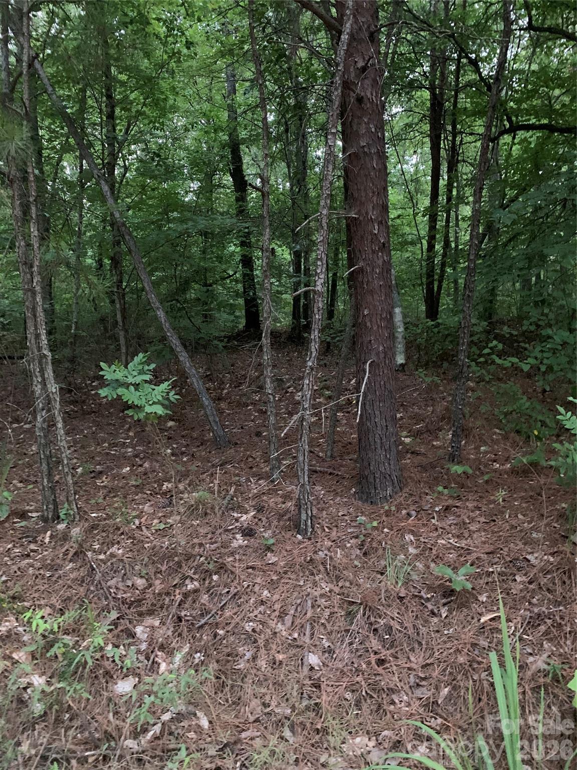 0 Ore Bank Road Property Photo 3